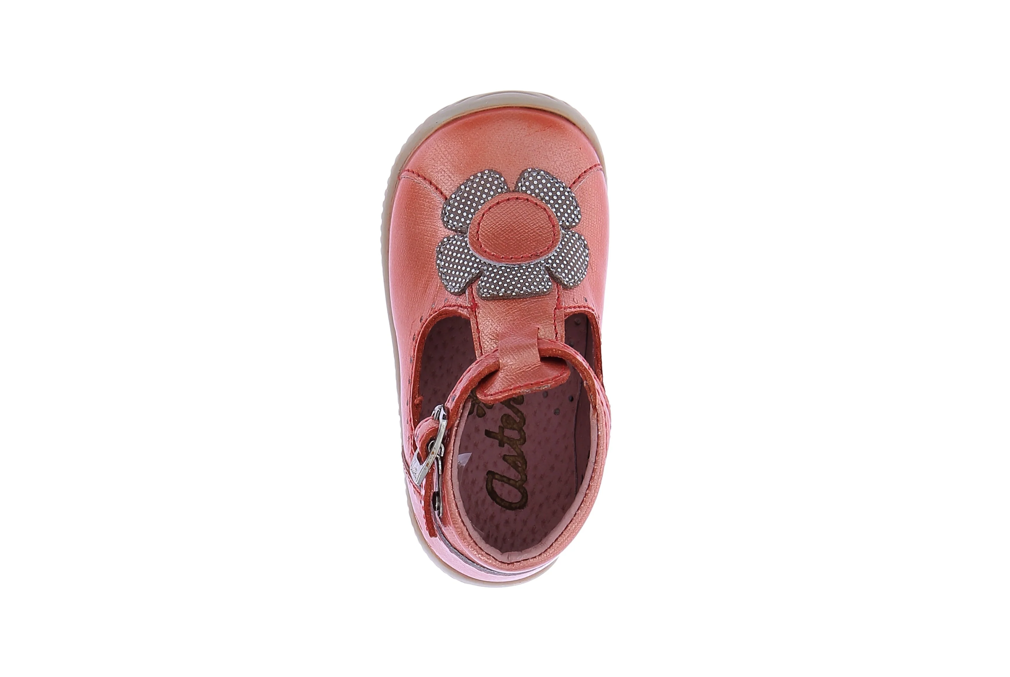 DELPHINE - Image 5