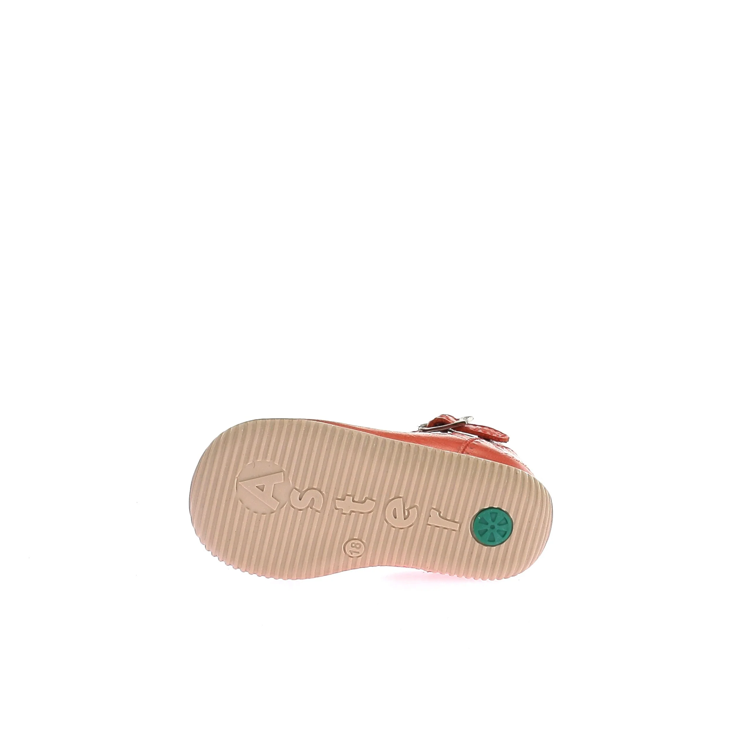 DELPHINE - Image 6