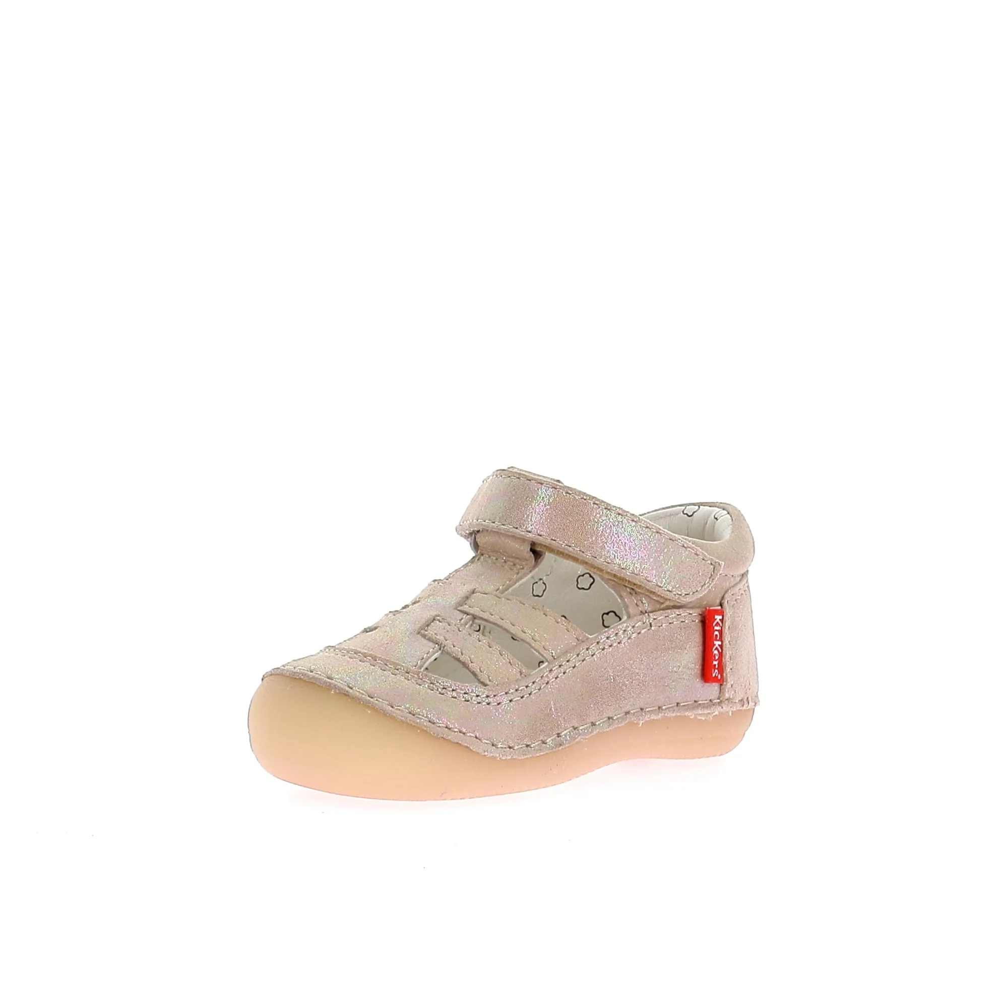 SUSHY - Image 2