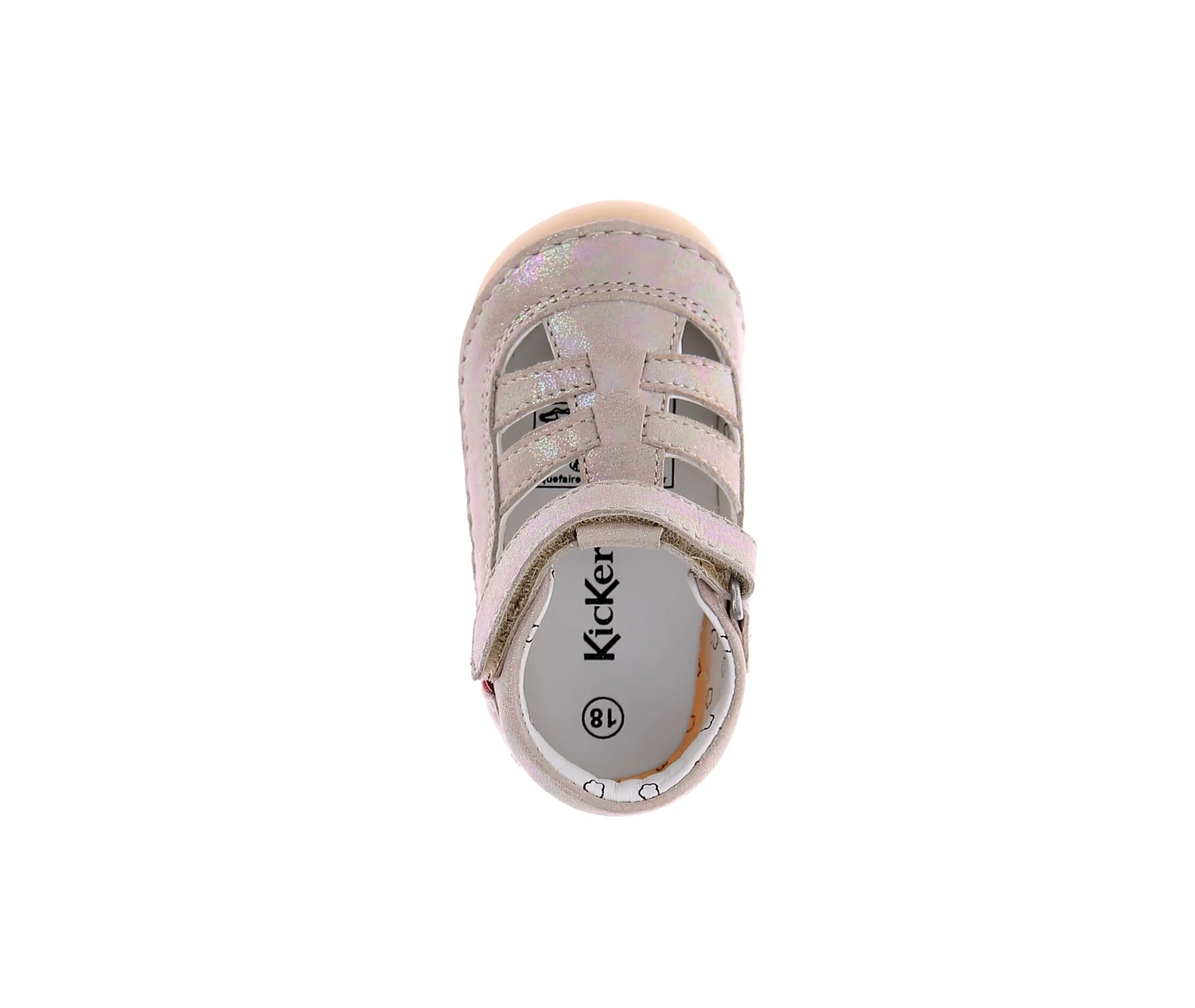 SUSHY - Image 5