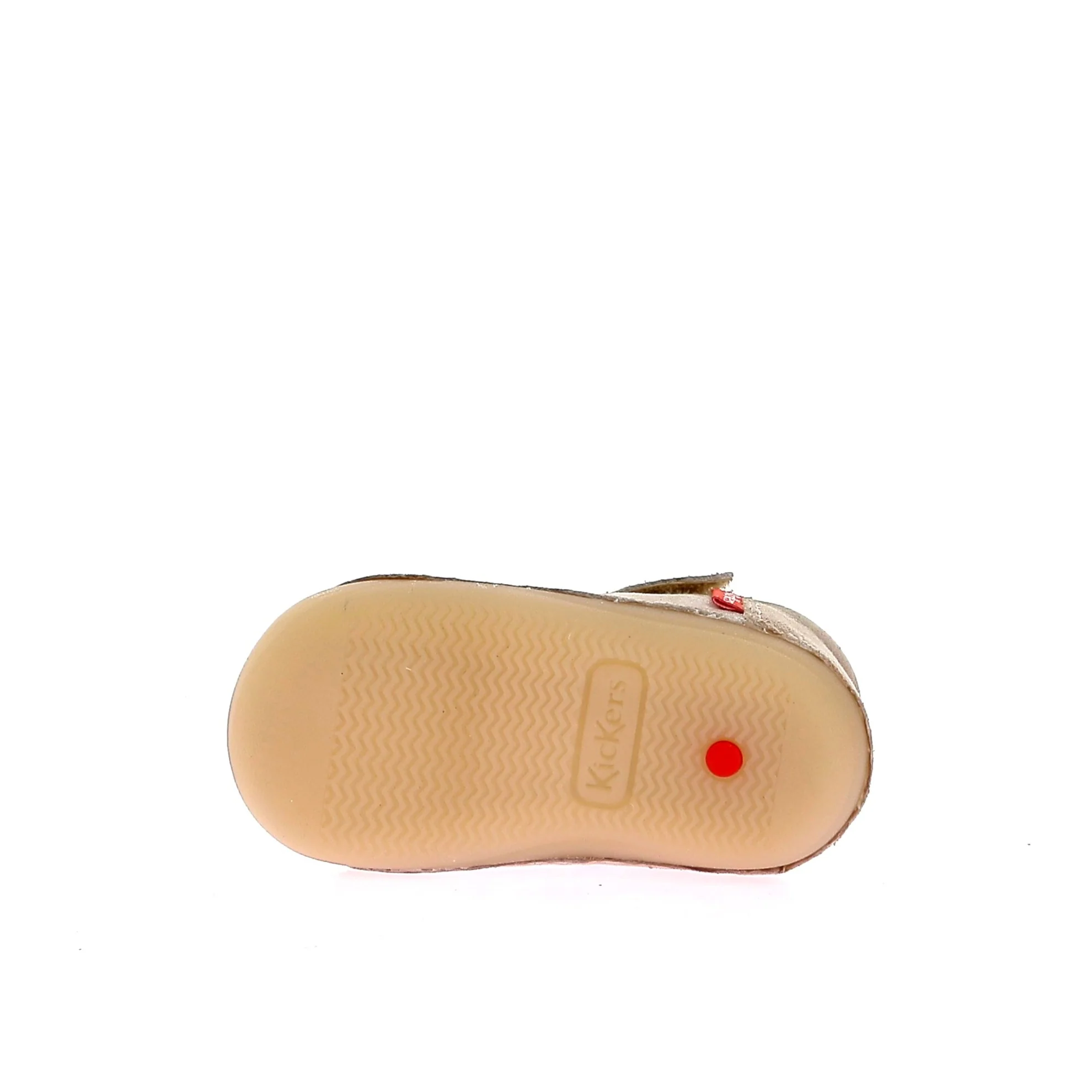 SUSHY - Image 6