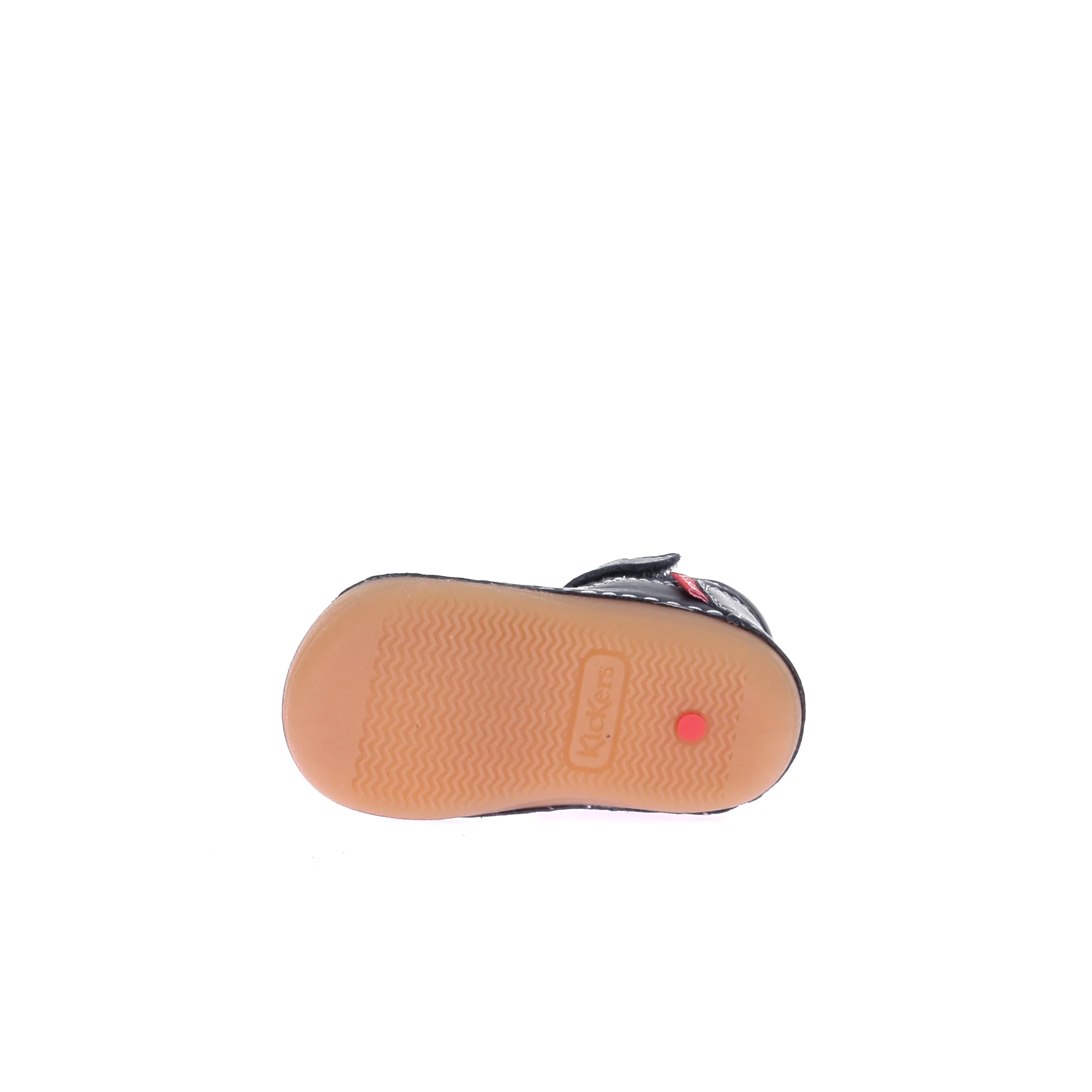 SUSHY - Image 6