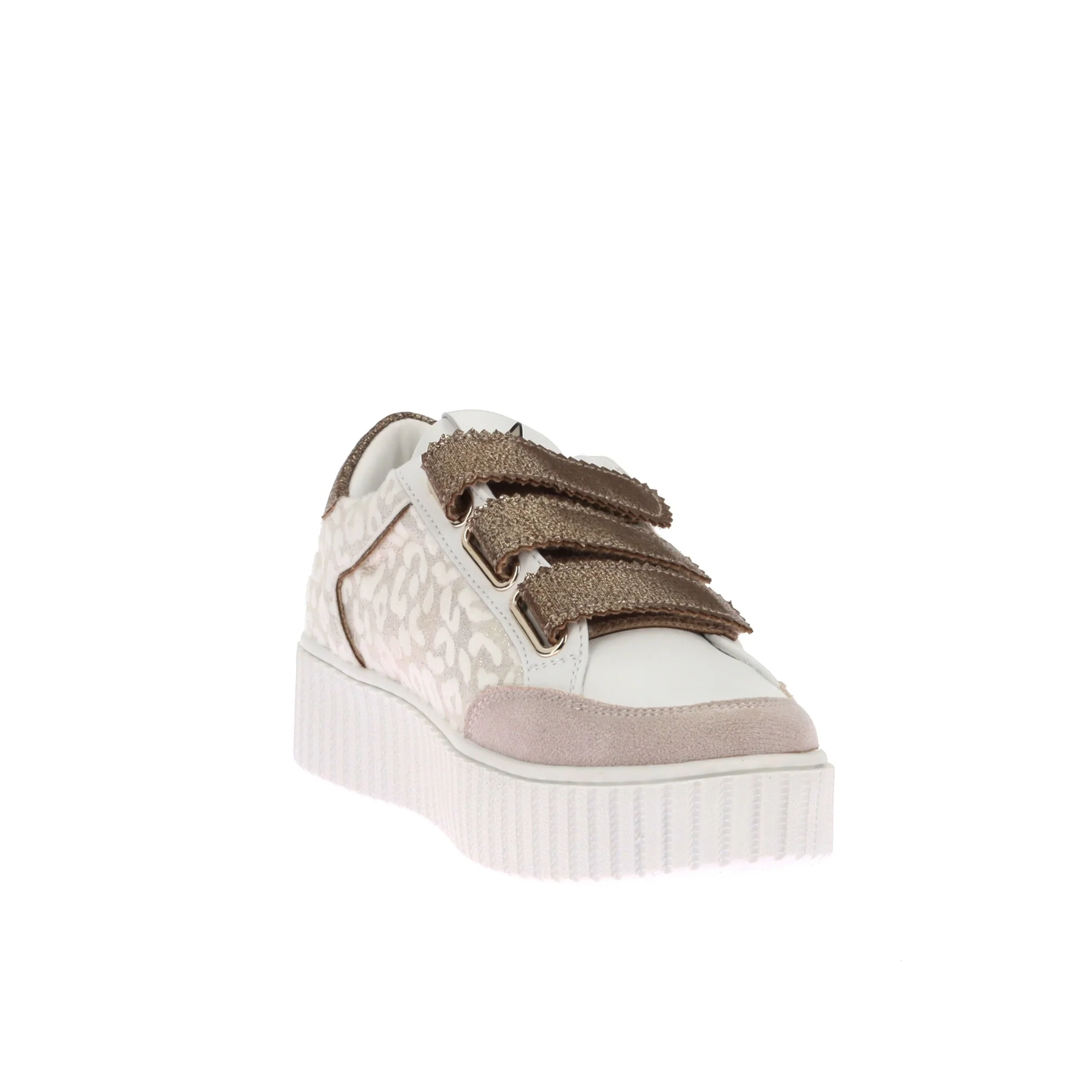 CL 79 - Image 3