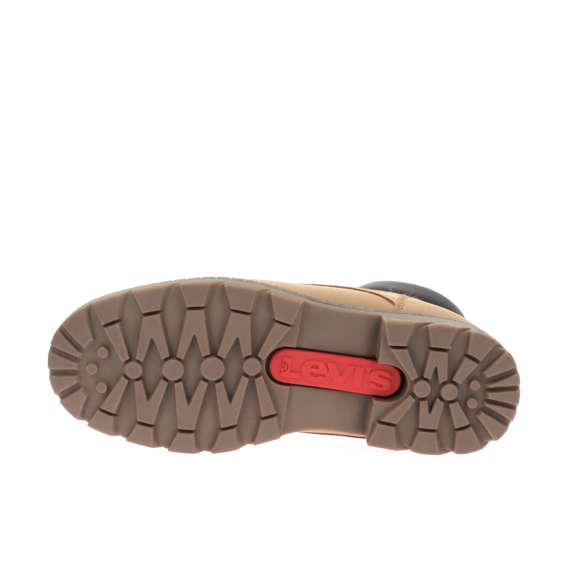 JAX PLUS - Image 6