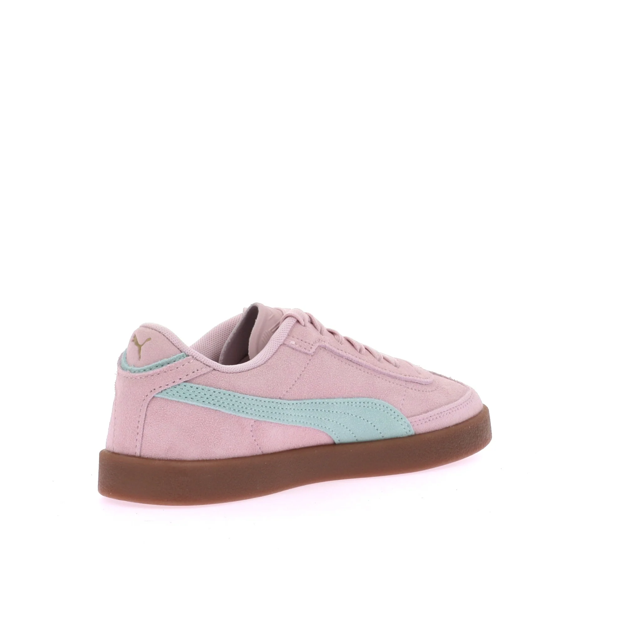 CLUB II ERA SUEDE - Image 4
