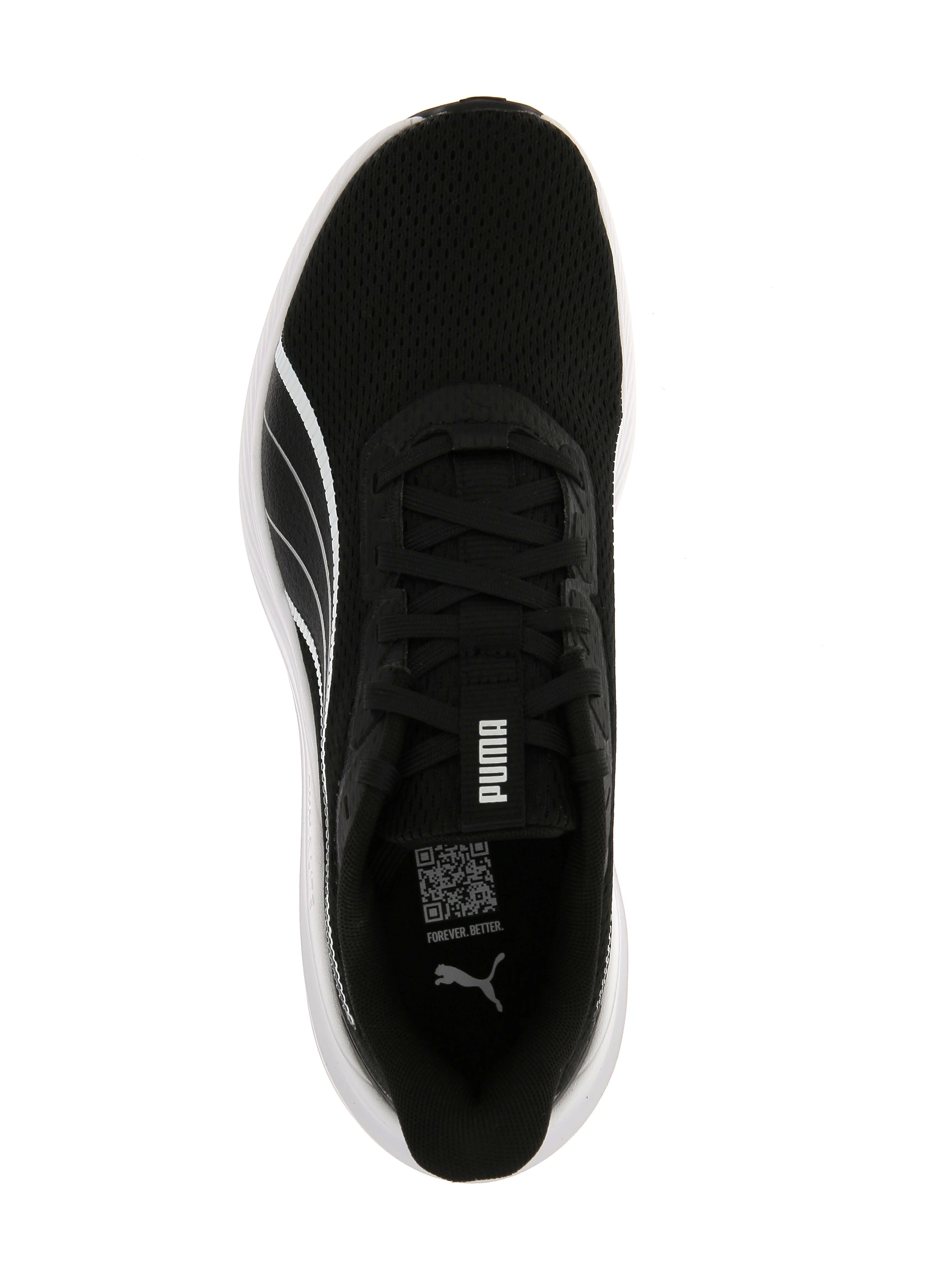 DASHER LITE - Image 5