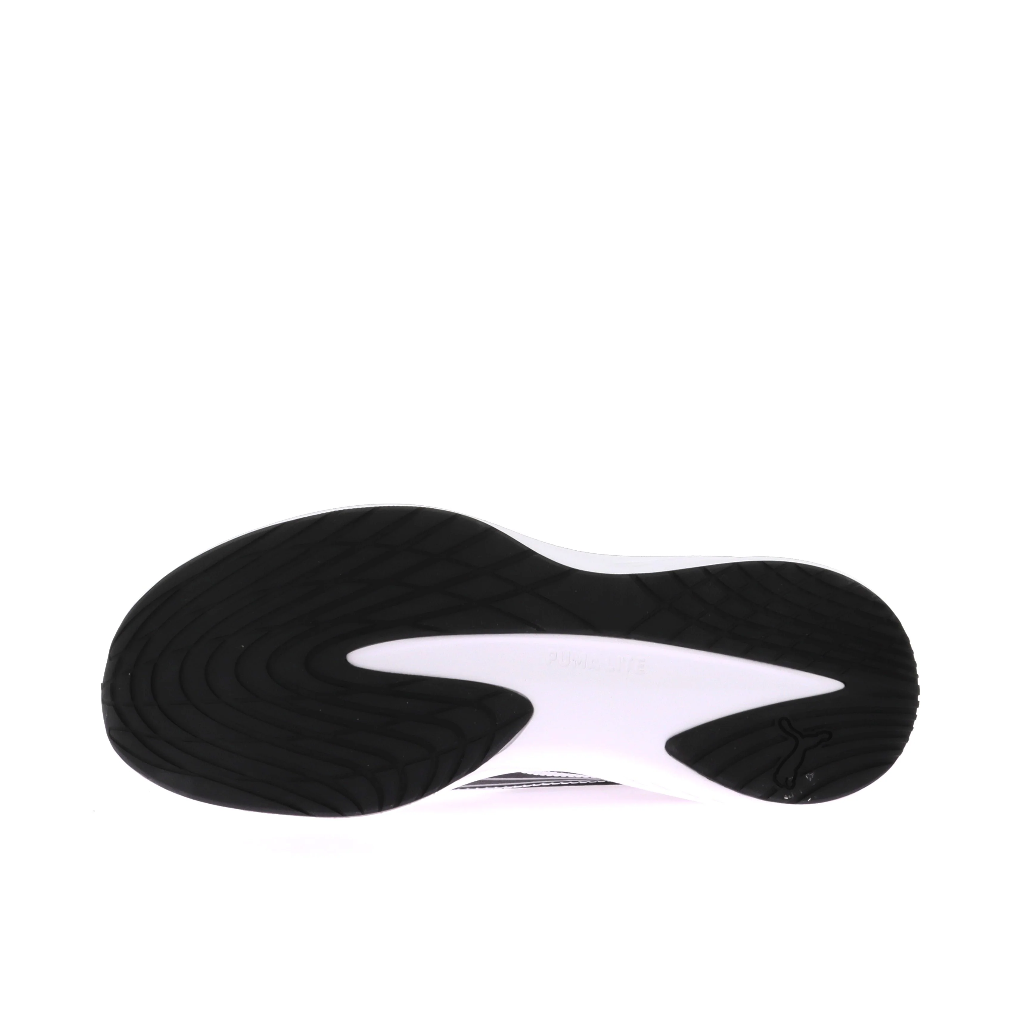 DASHER LITE - Image 6