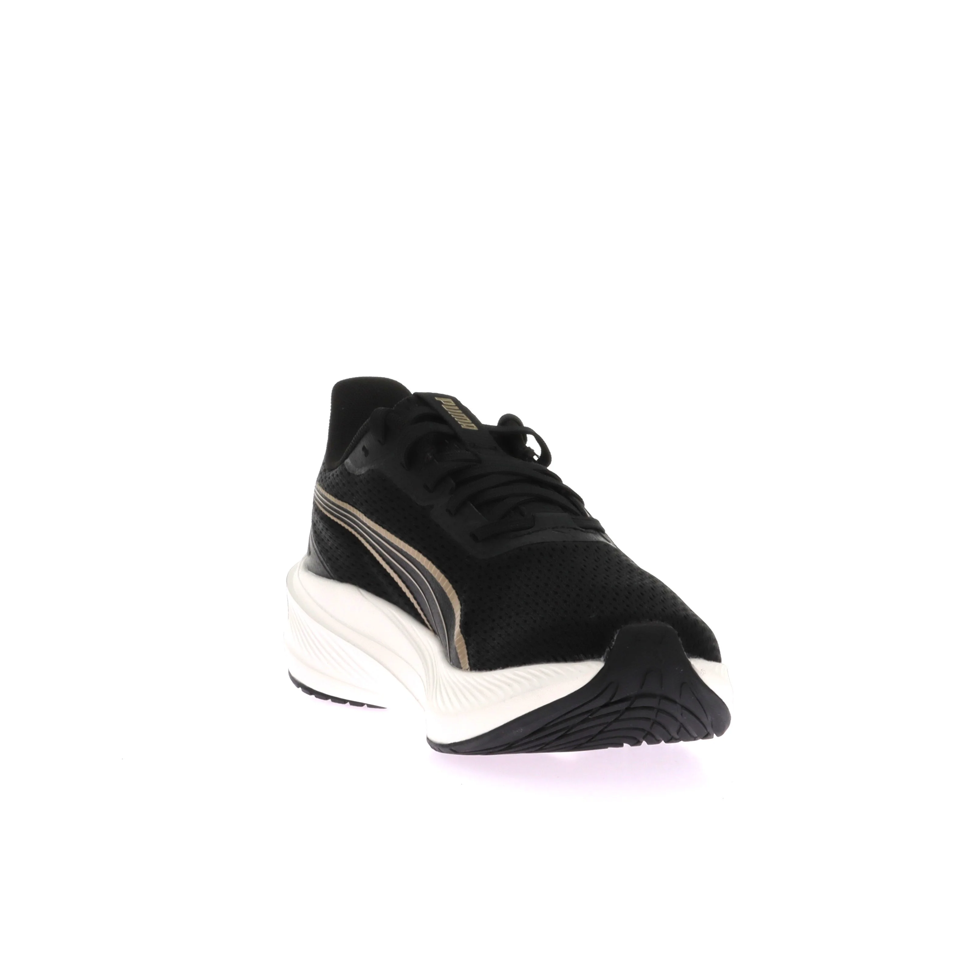 DASHER LITE - Image 3