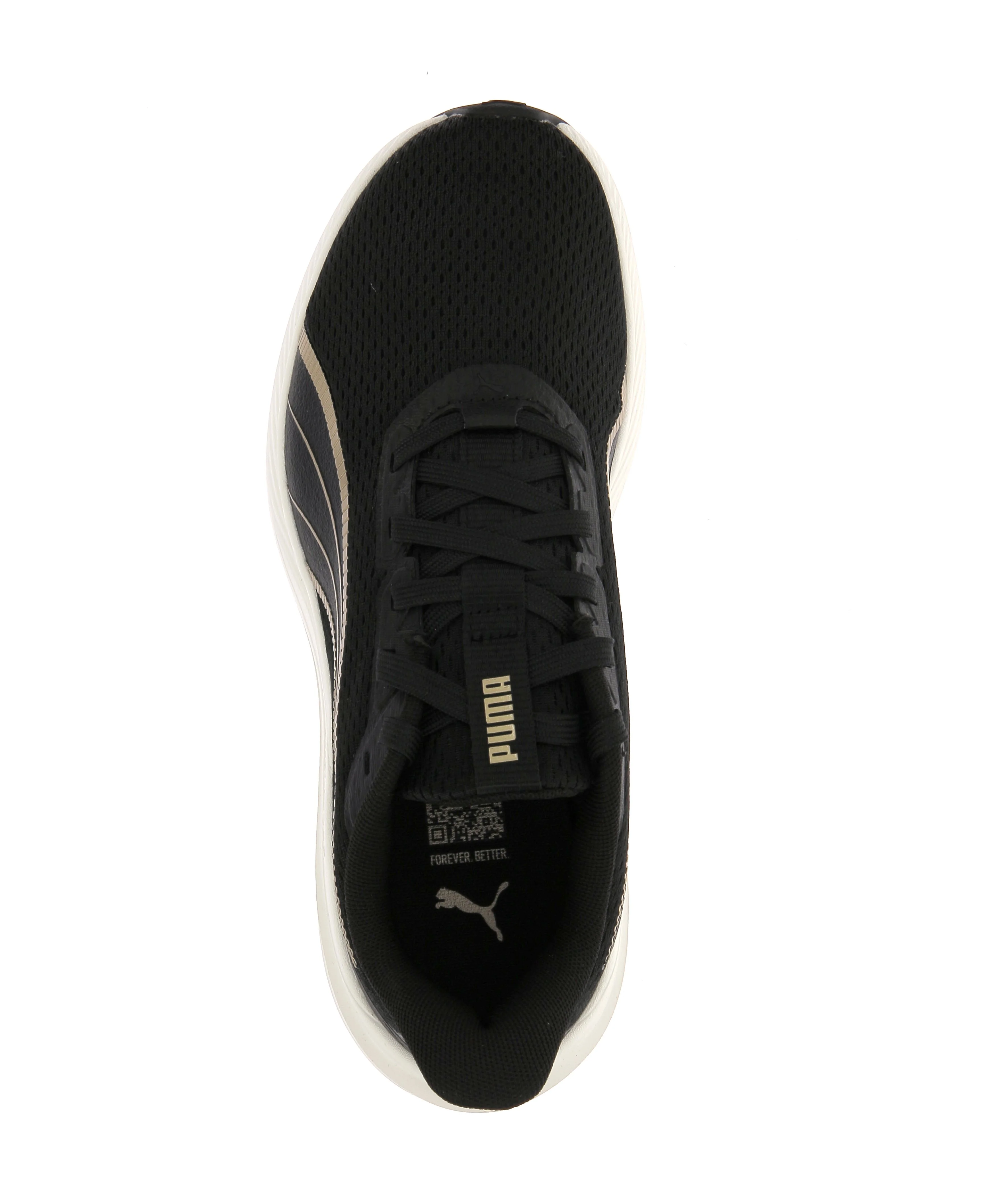 DASHER LITE - Image 5