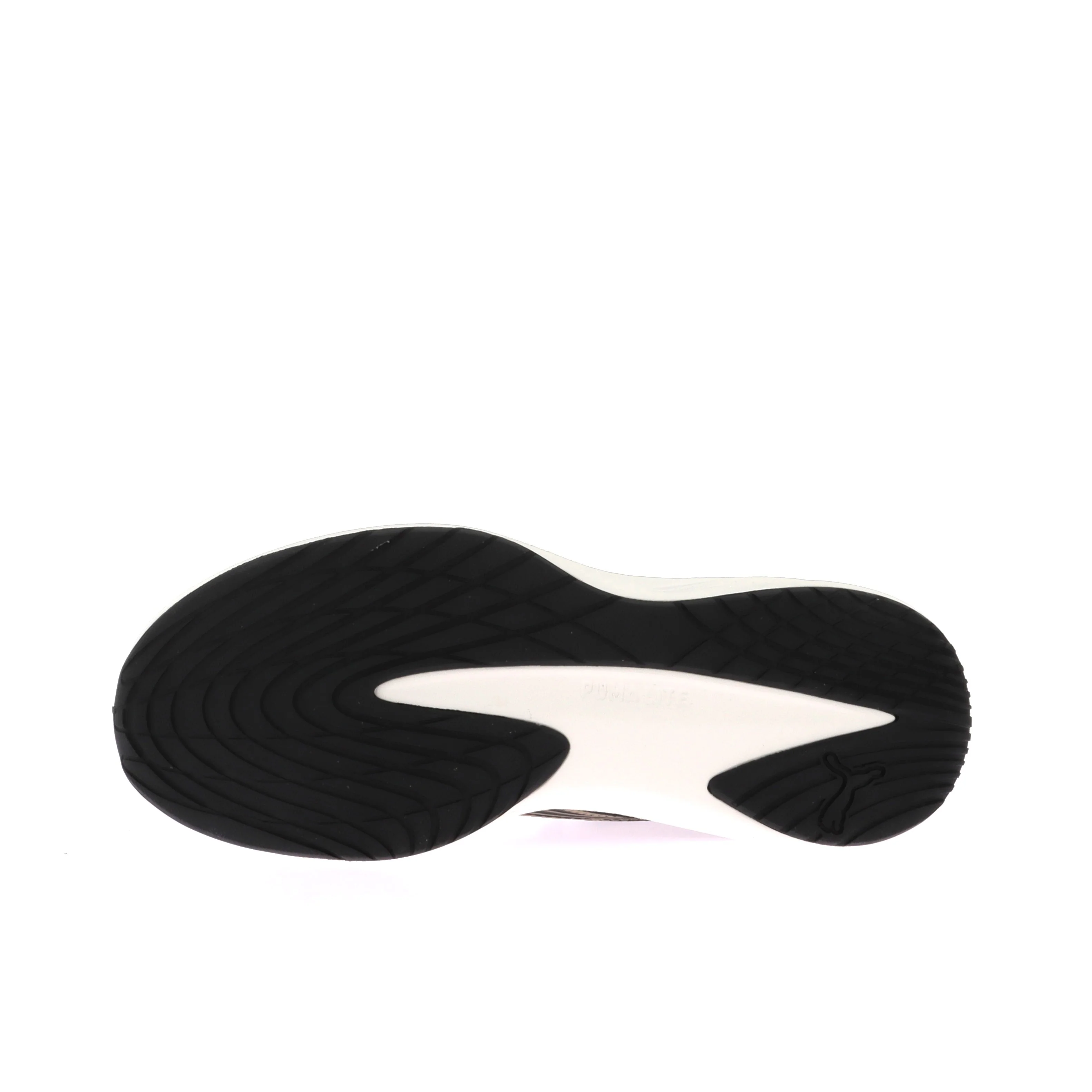 DASHER LITE - Image 6