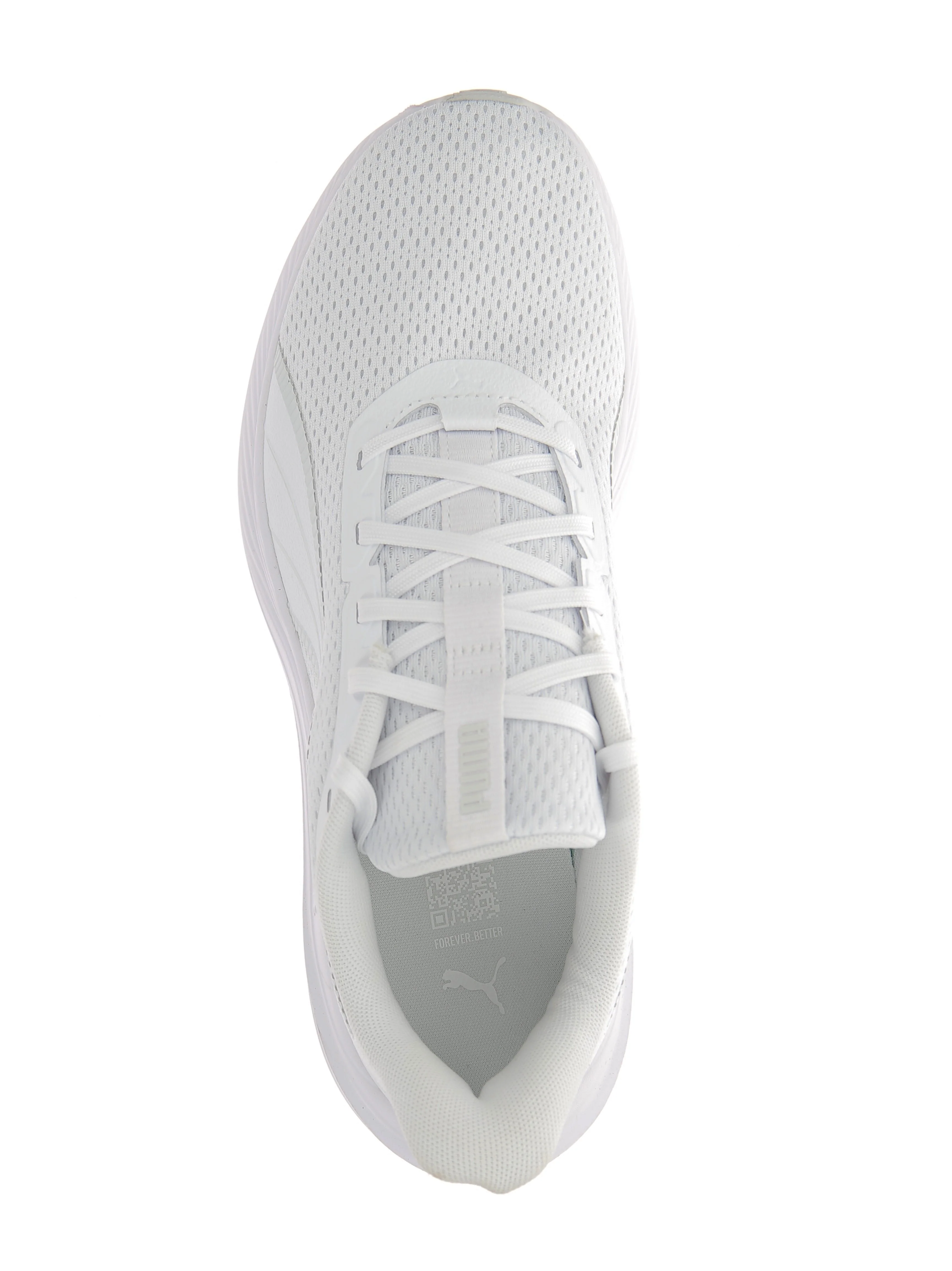DASHER LITE - Image 5