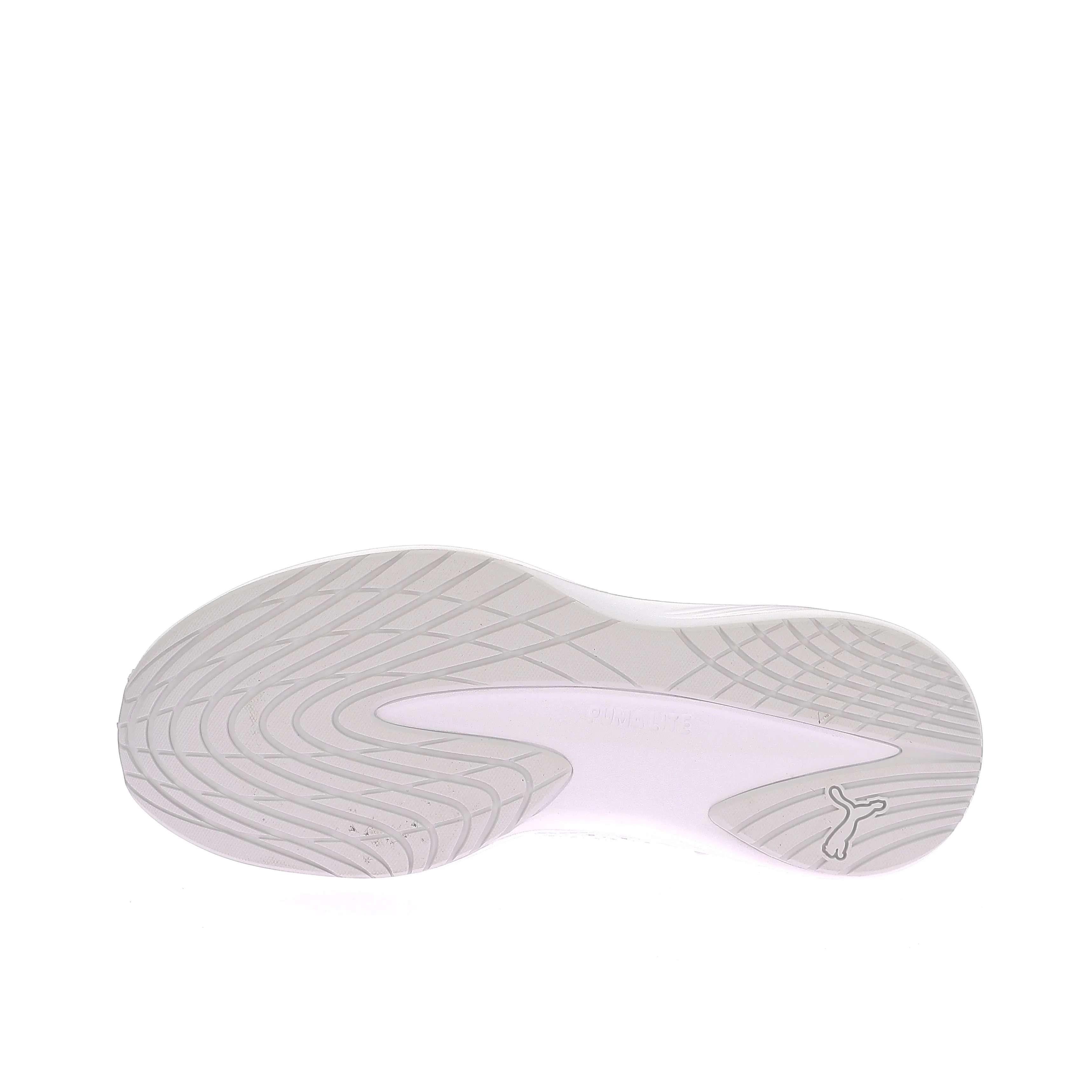 DASHER LITE - Image 6