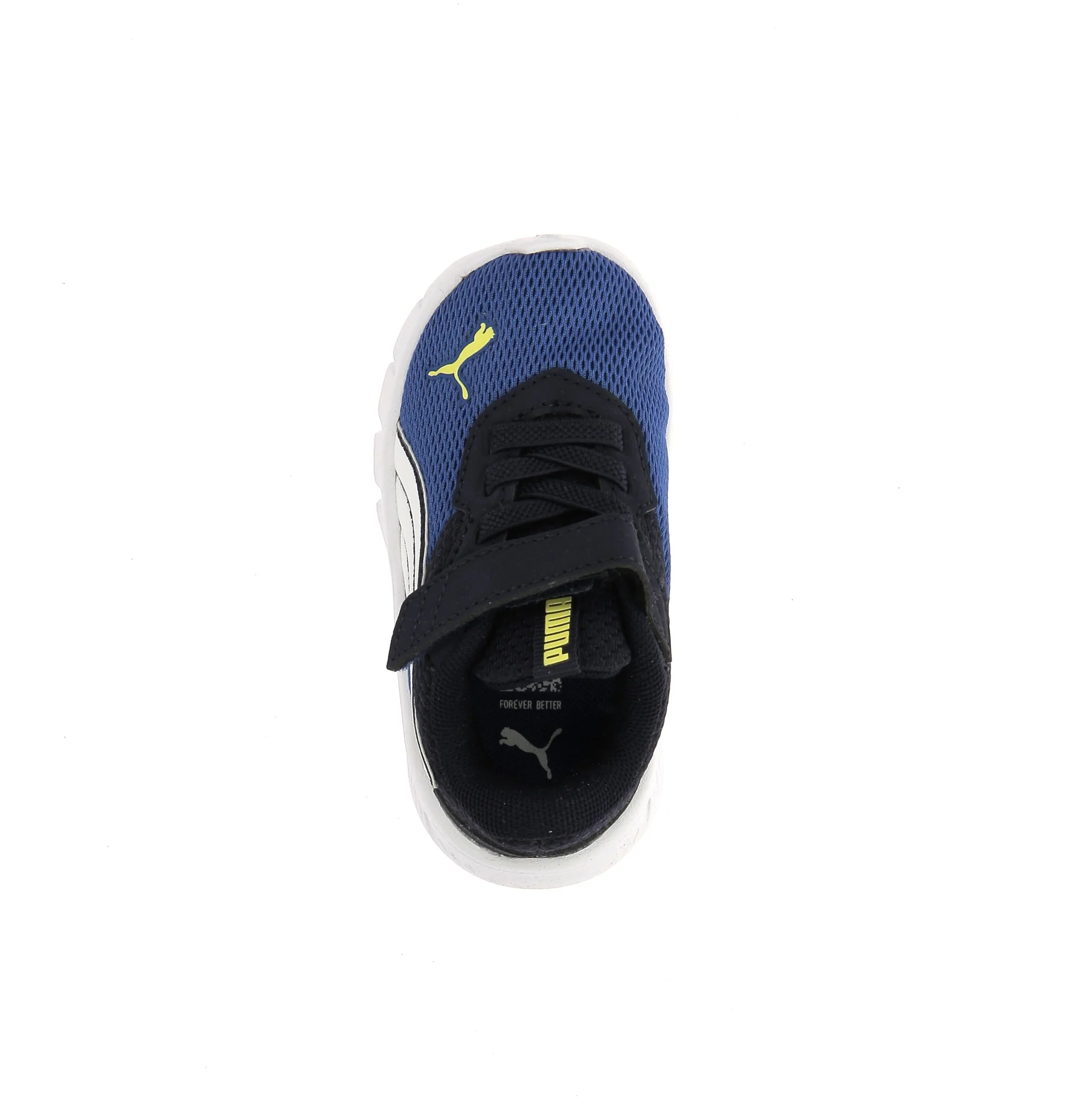 FLEXFOCUS LUTE MODERN INF - Image 5
