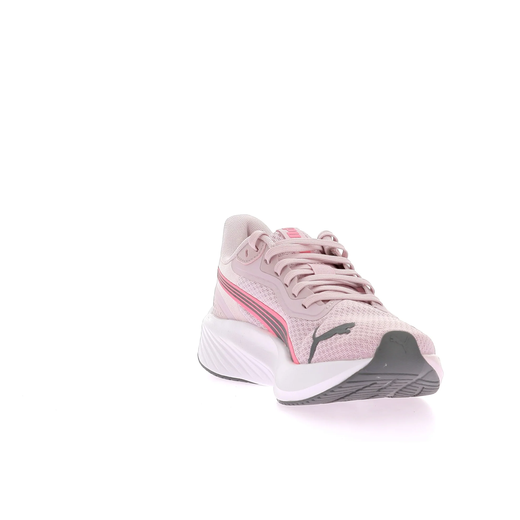 POUNCE LITE - Image 3