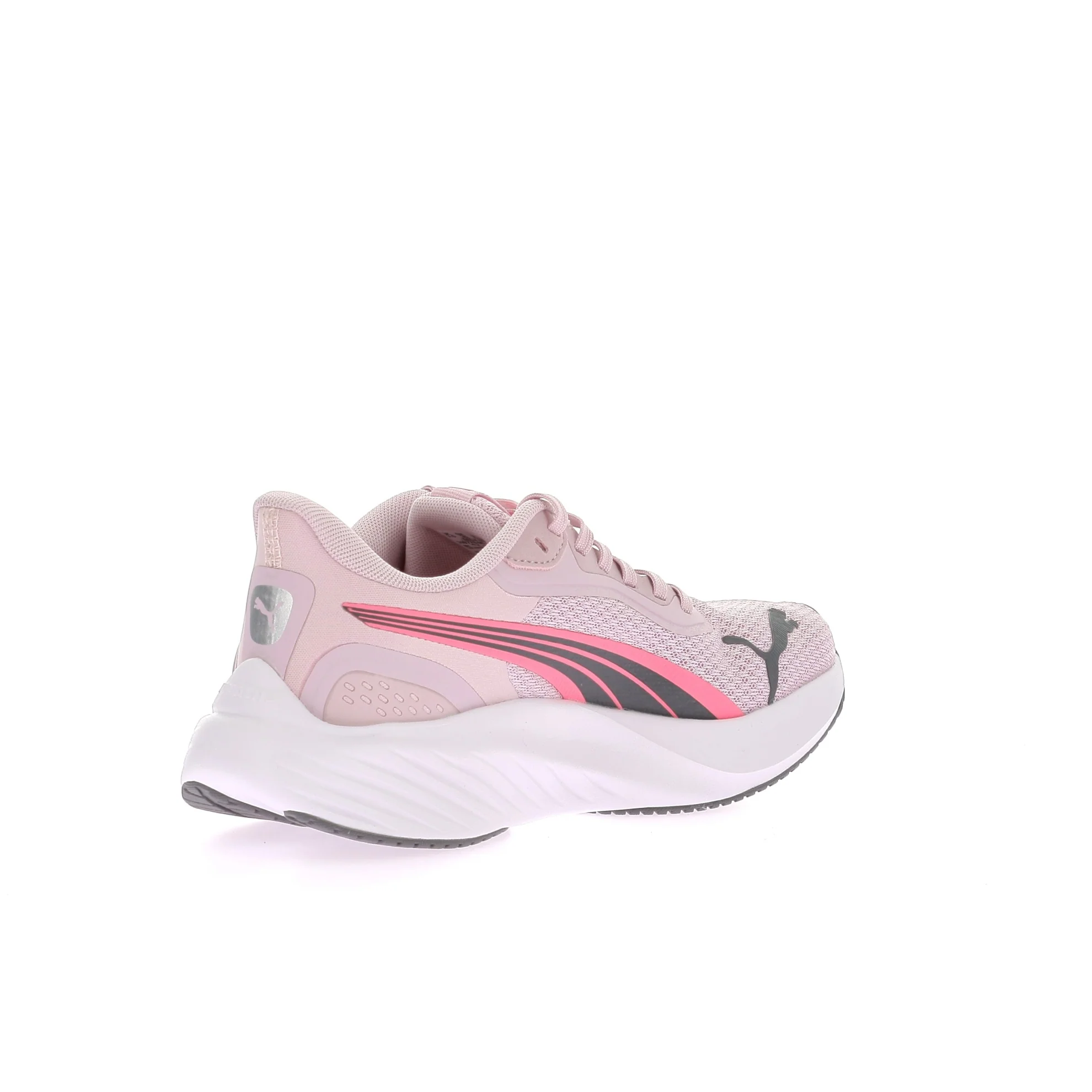 POUNCE LITE - Image 4