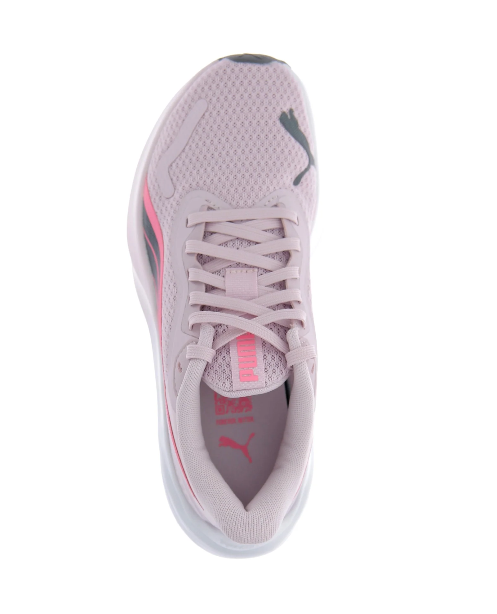 POUNCE LITE - Image 5