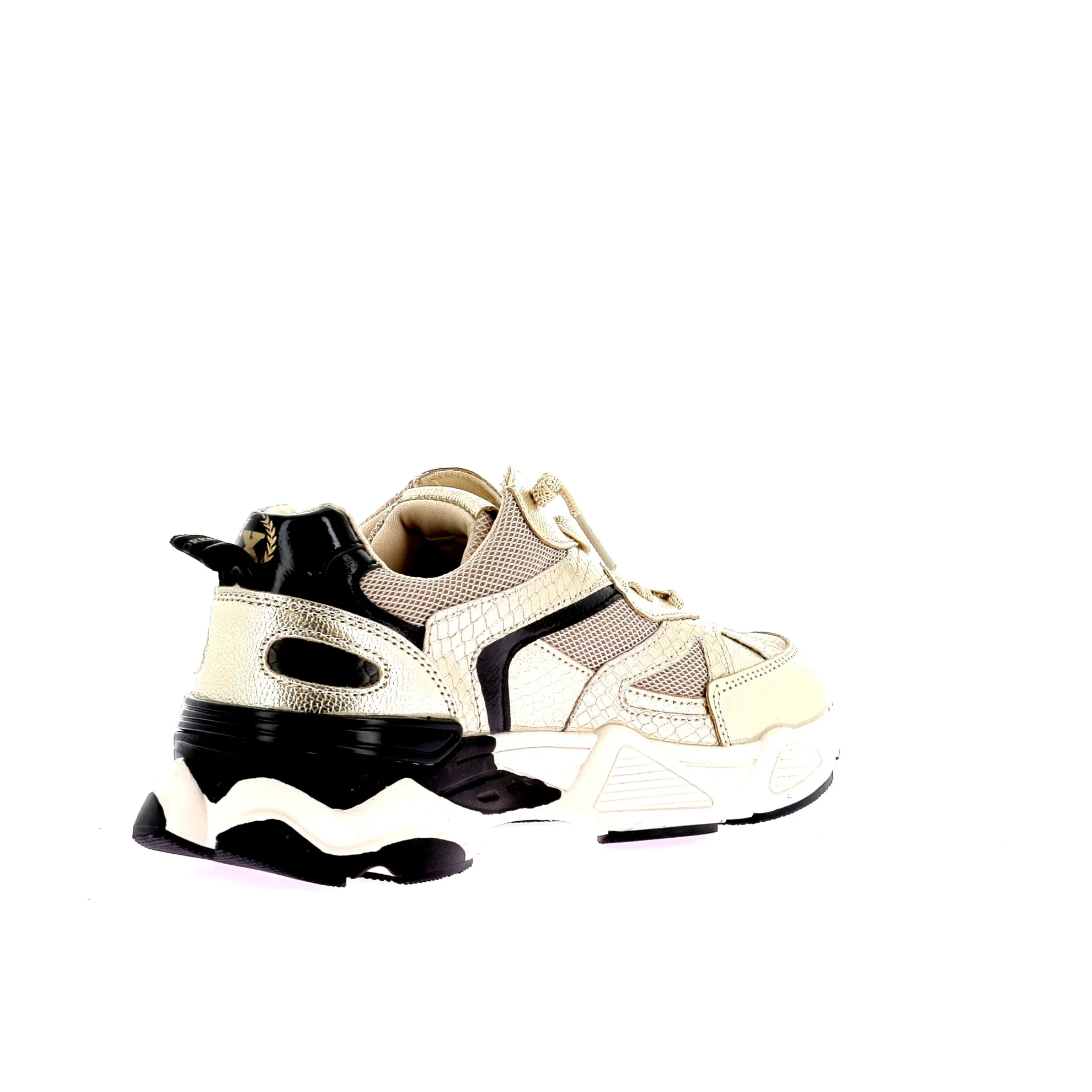 144653 - Image 4