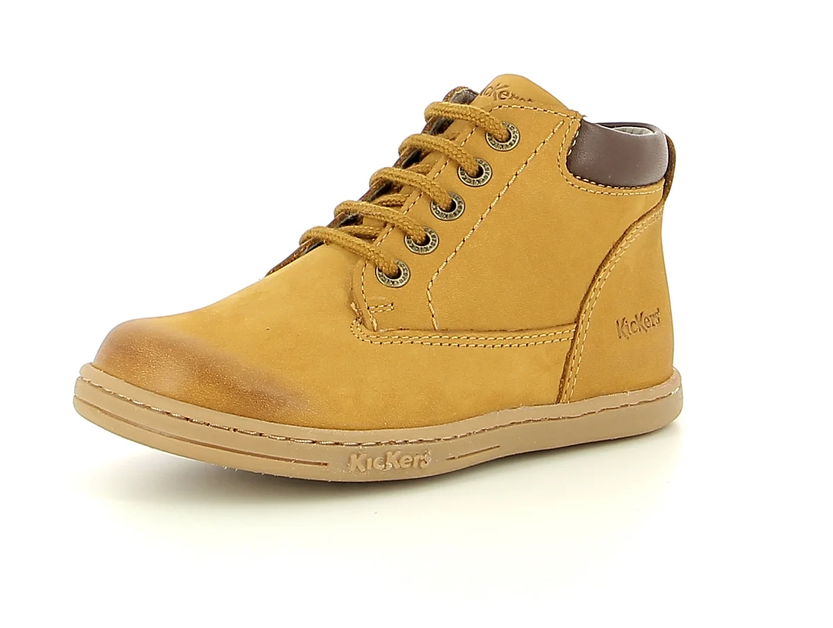 TACKLAND - Image 2