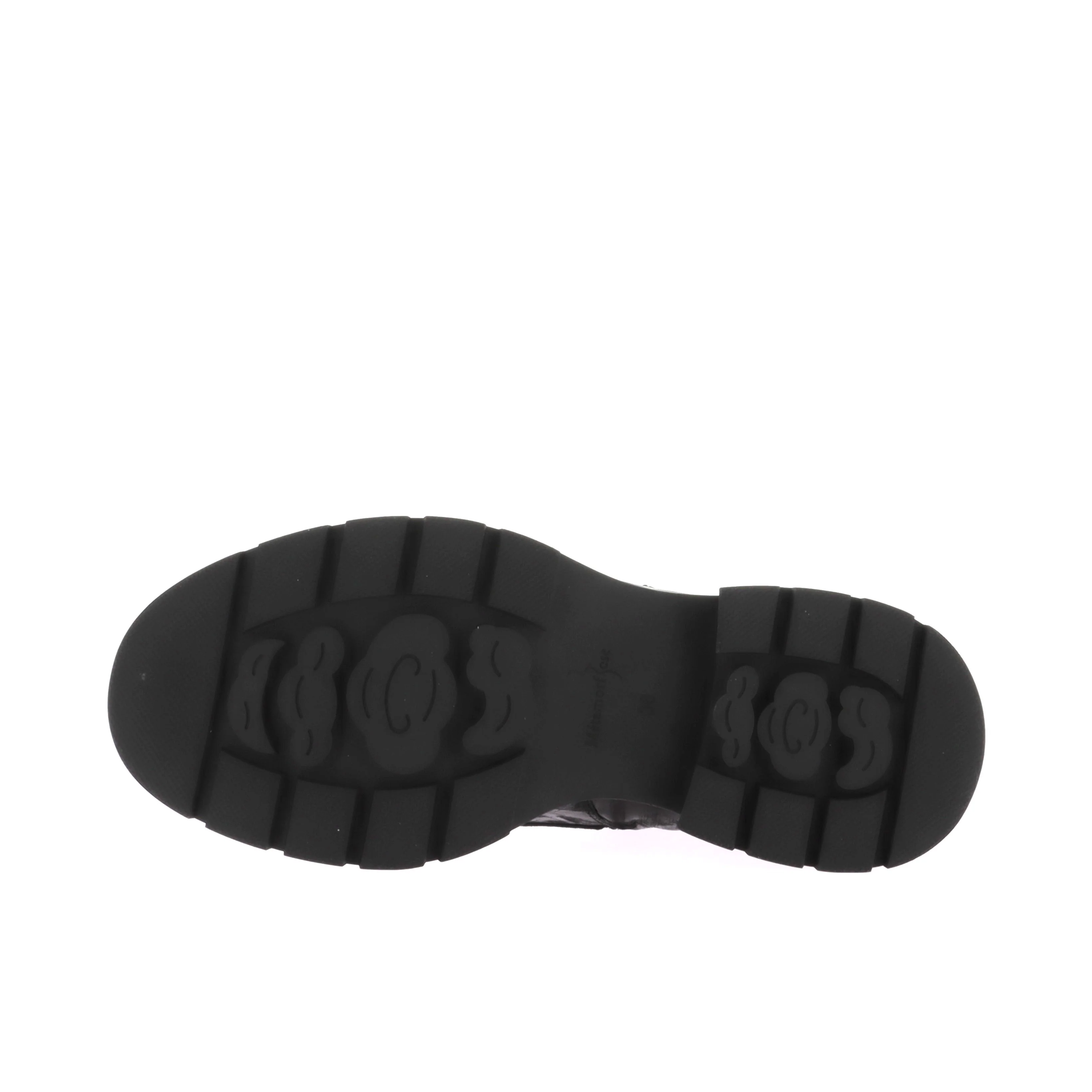 VANDA - Image 6
