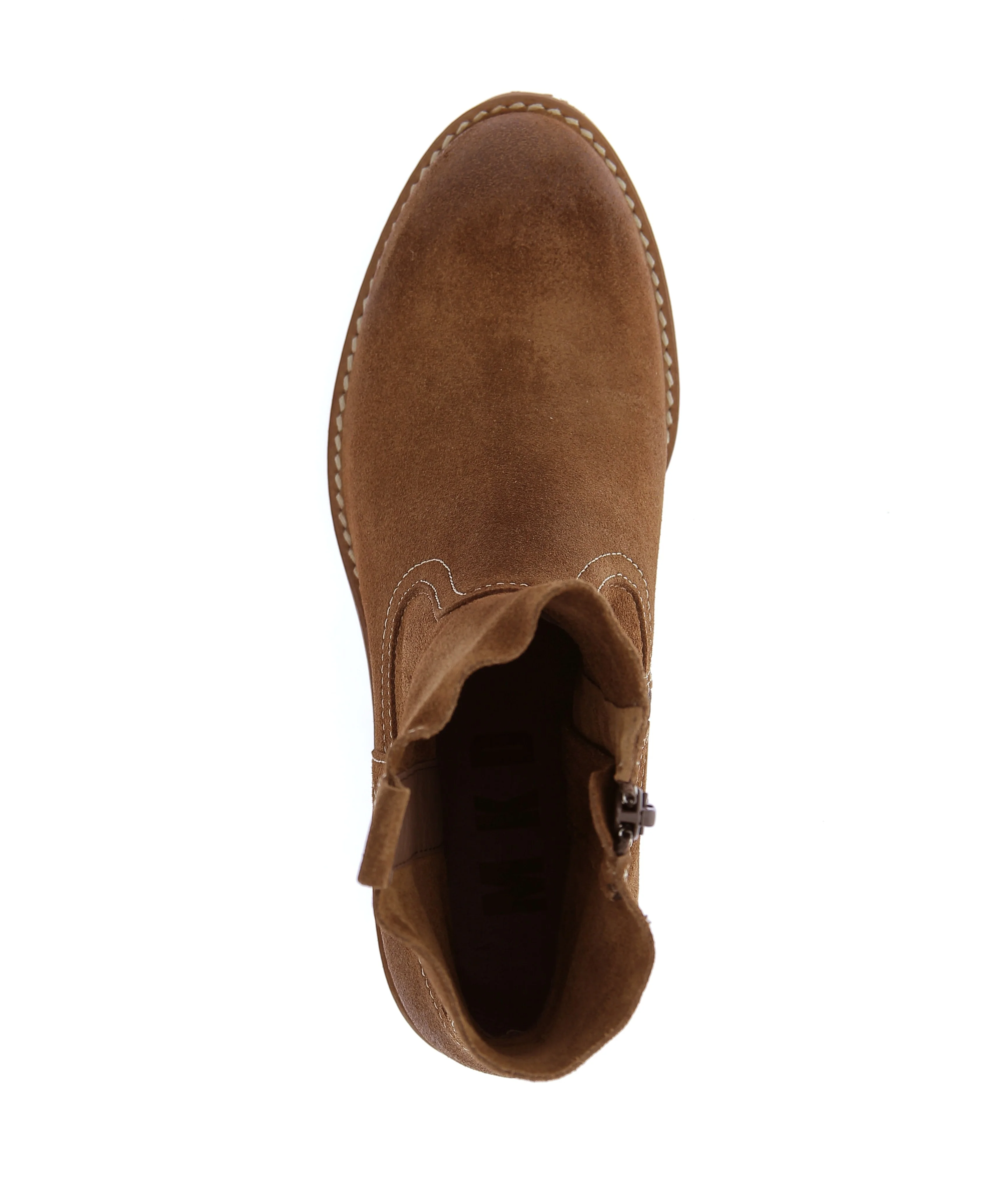 LAZARO - Image 5