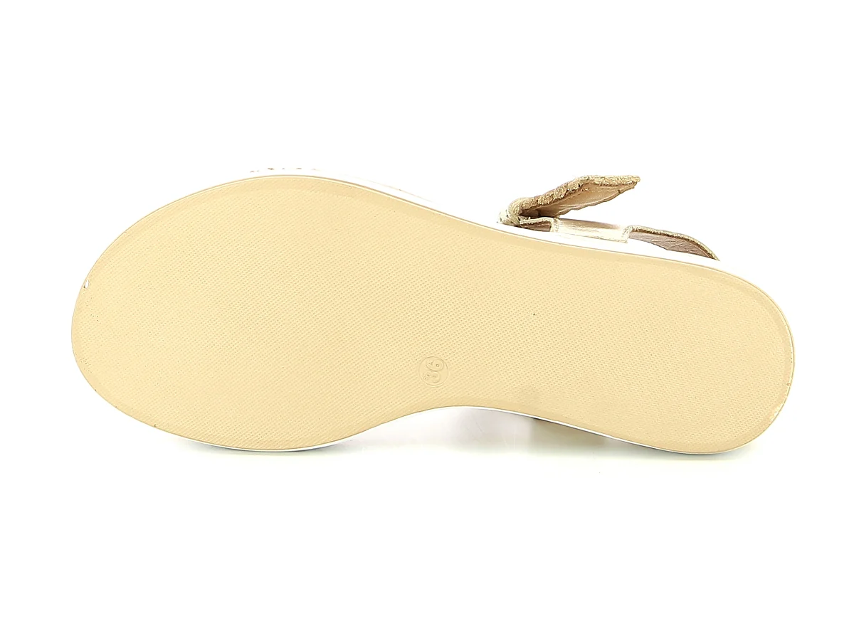 INULAVI 113031 - Image 6