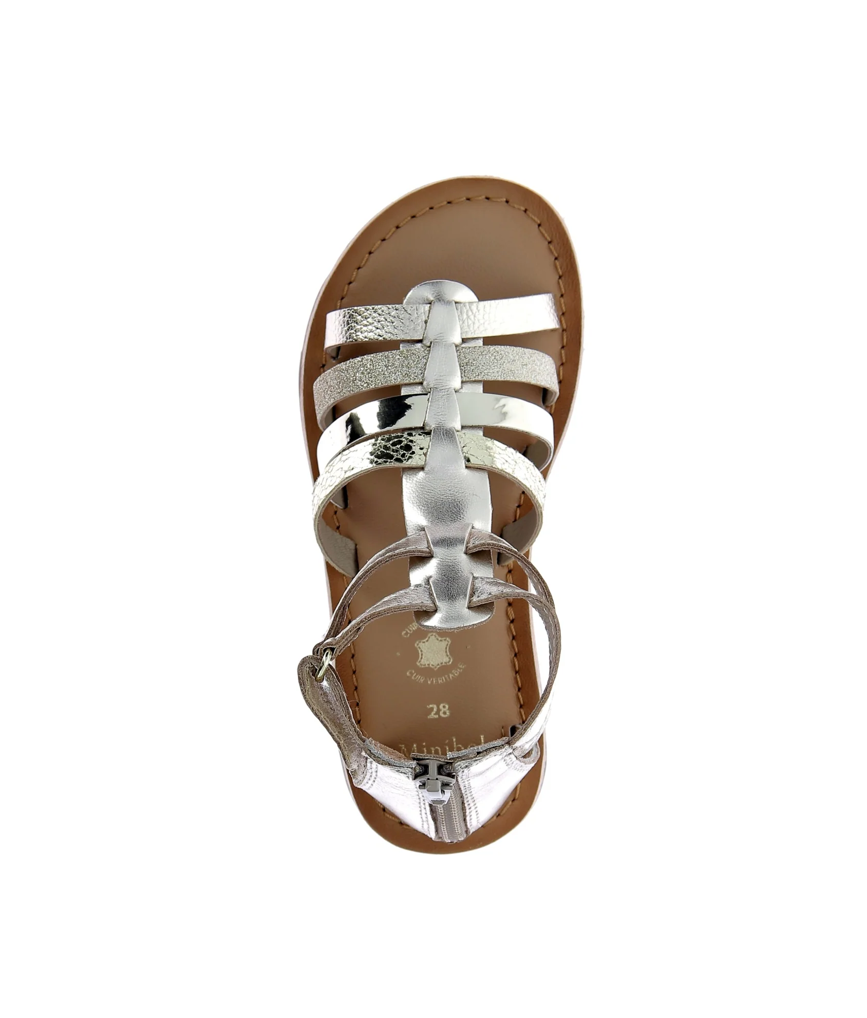 BALOTTA - Image 5