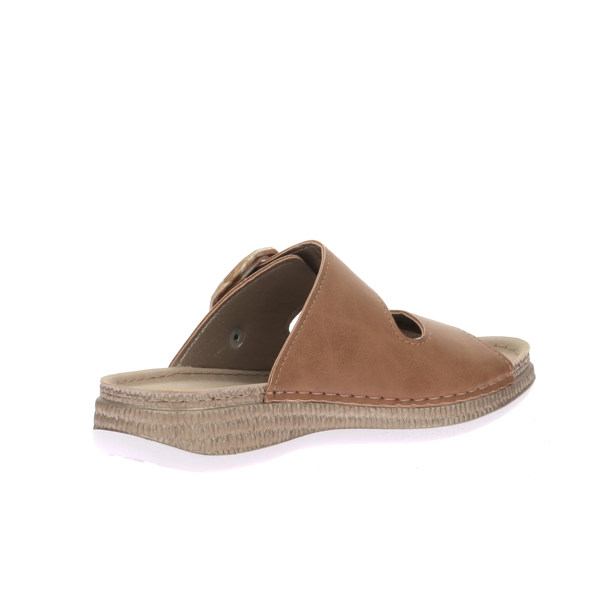 MK450300 - Image 4