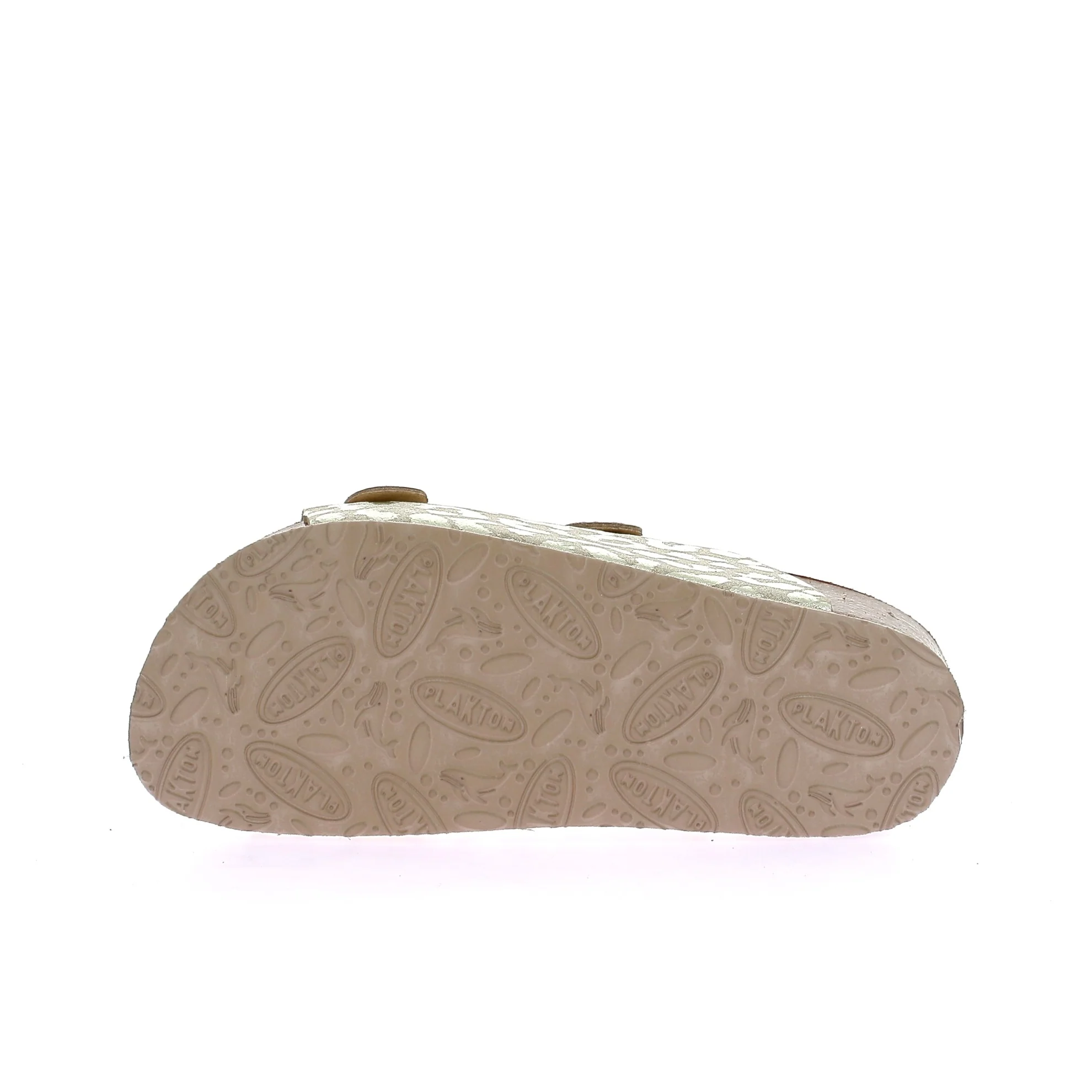 CP BETA - Image 6
