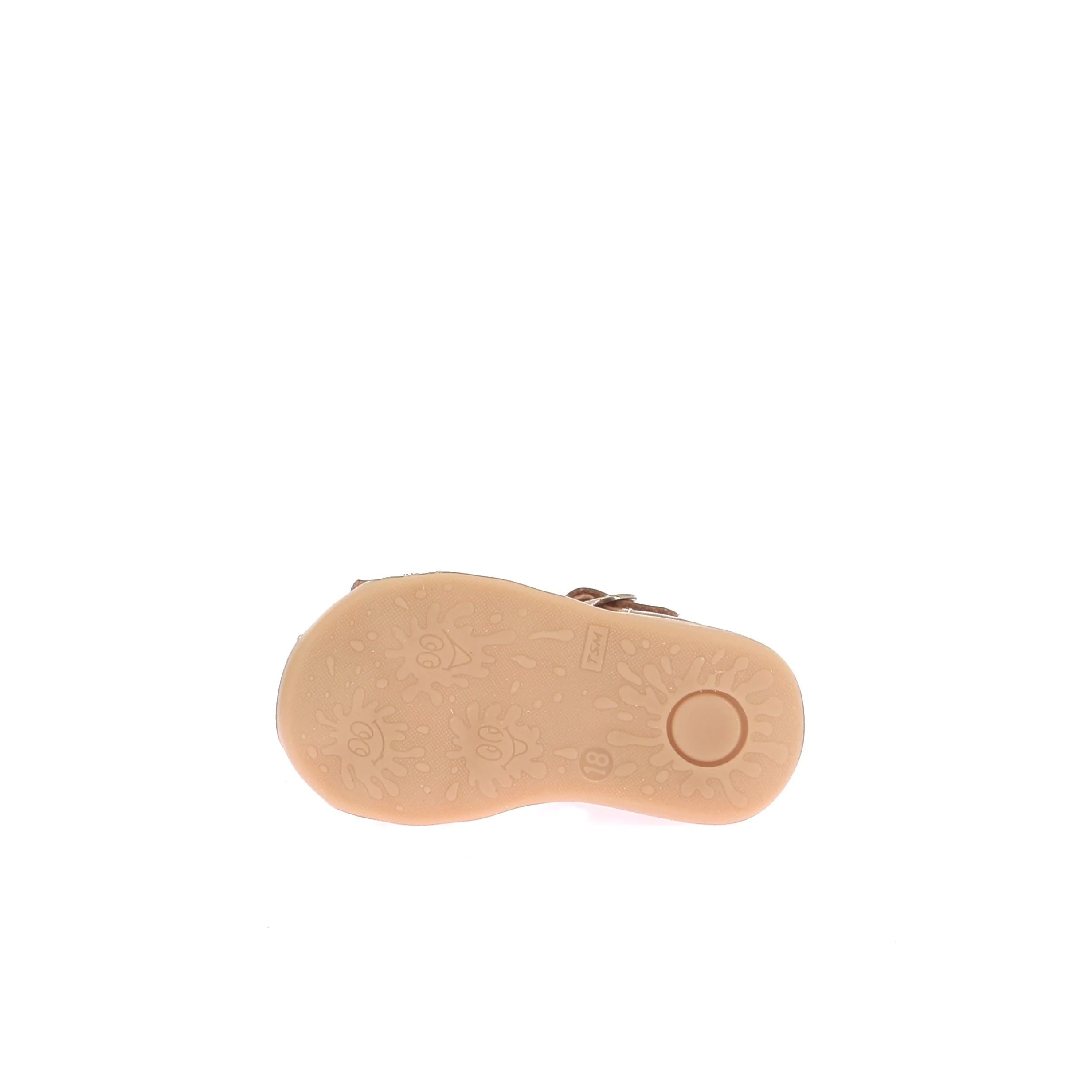 GUPPY - Image 6