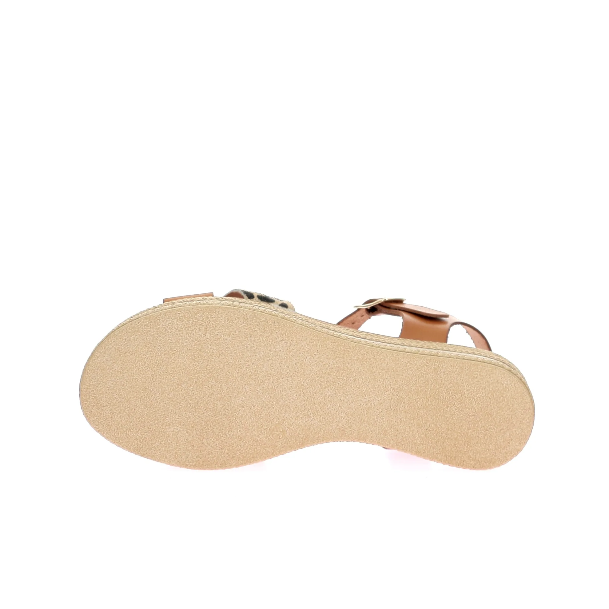 15624 - Image 6