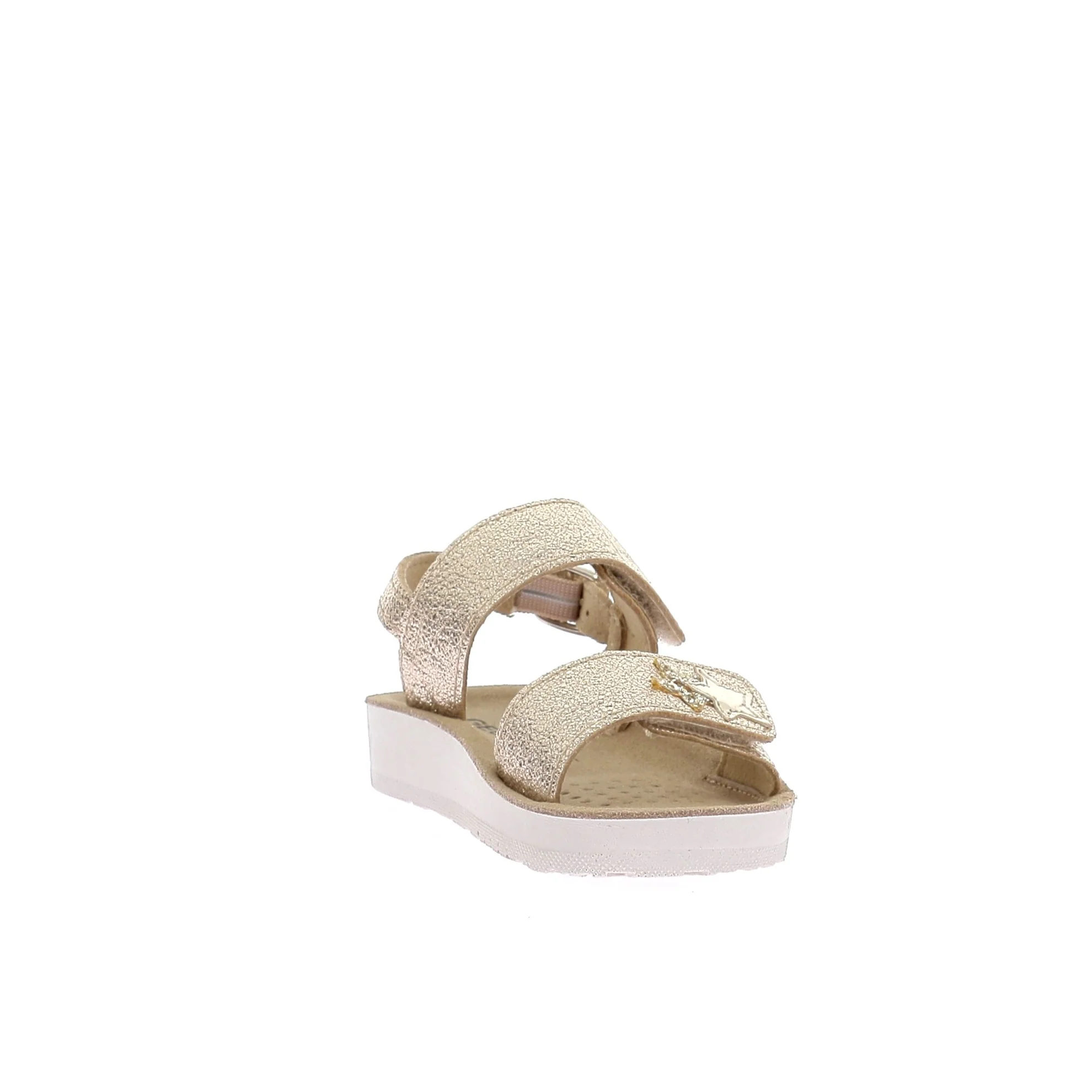COSTAREI - Image 3