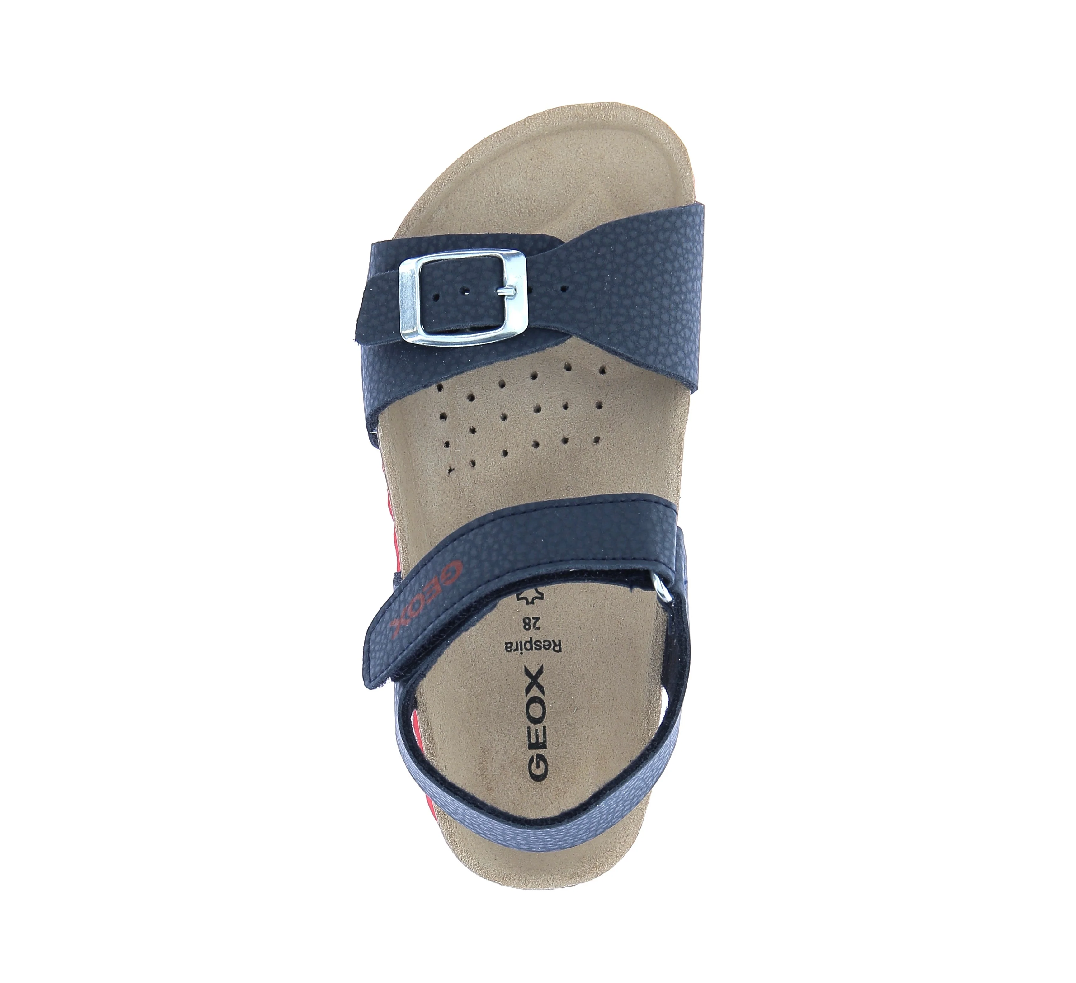GEOCAPRA - Image 5