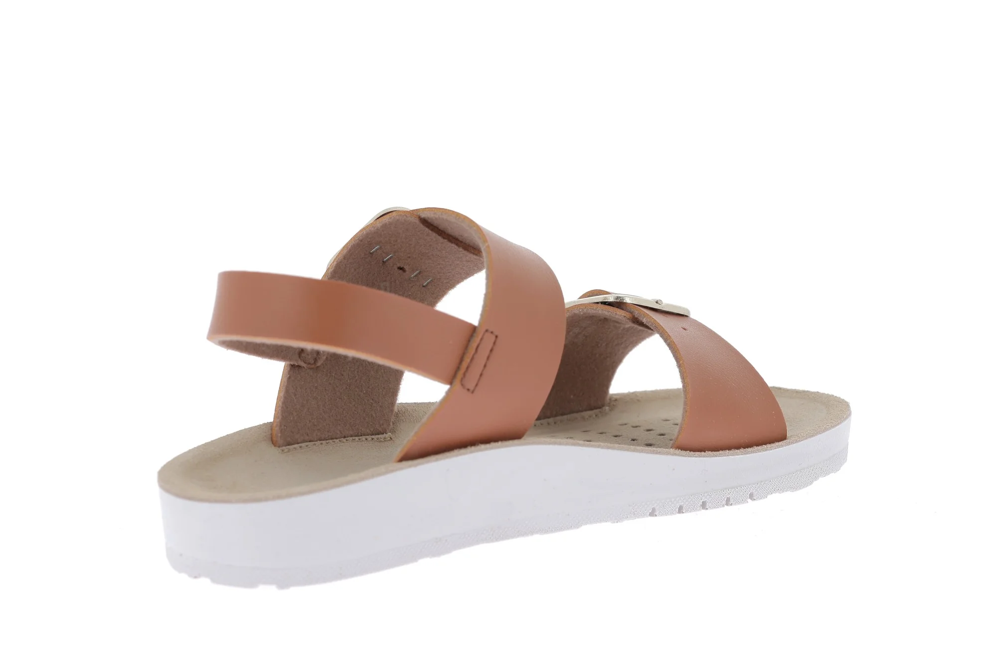 COSTAREI - Image 4