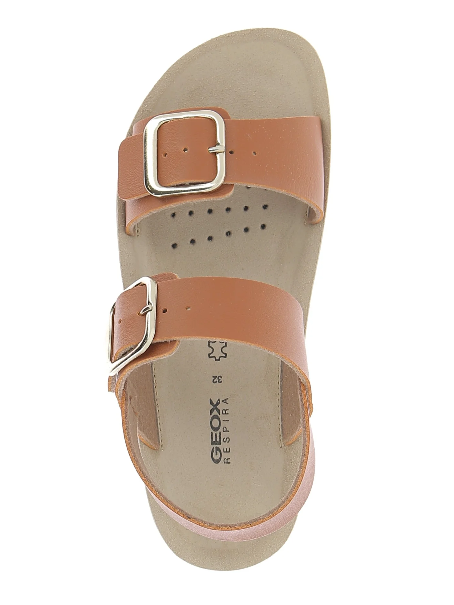 COSTAREI - Image 5