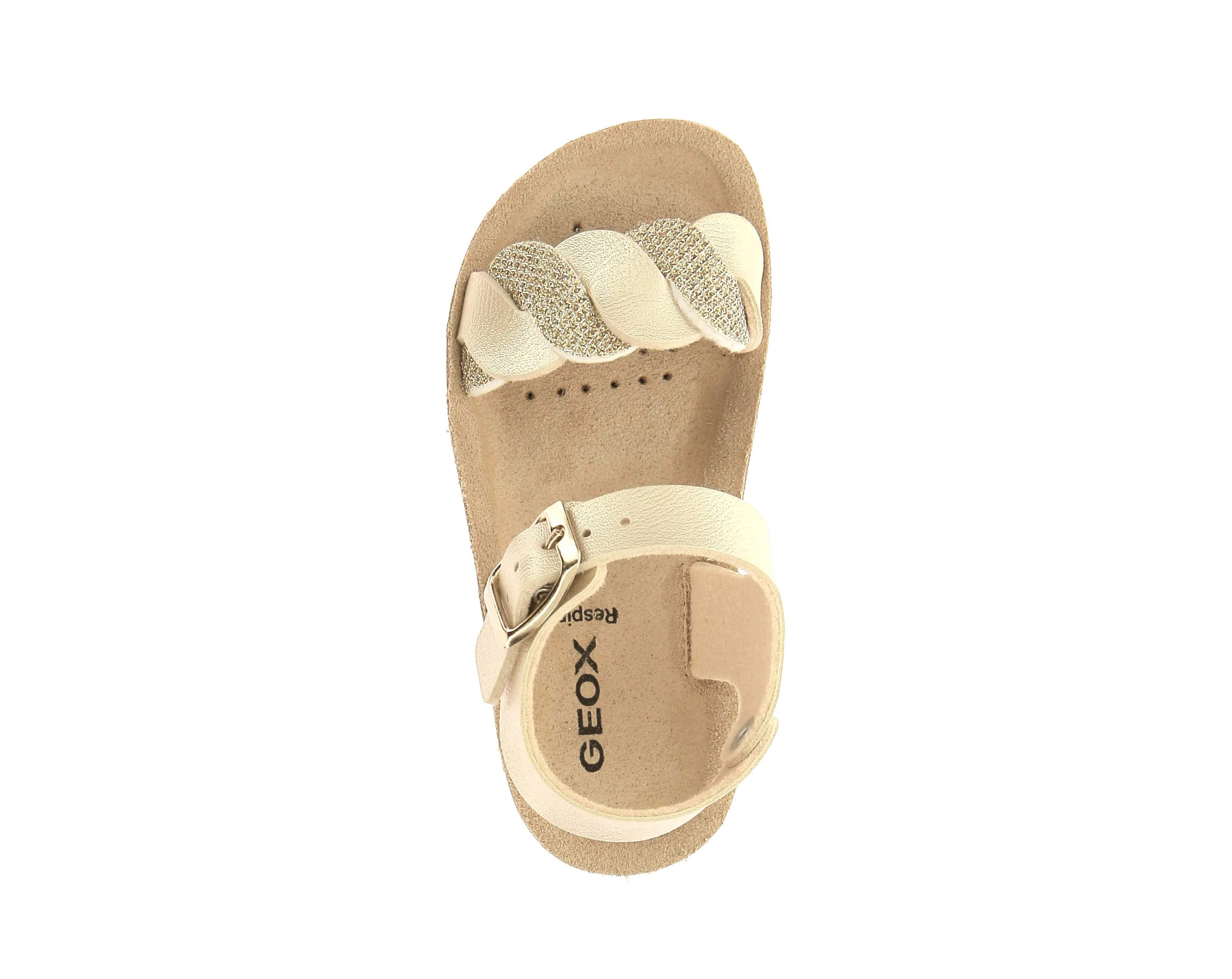 COSTAREI - Image 5