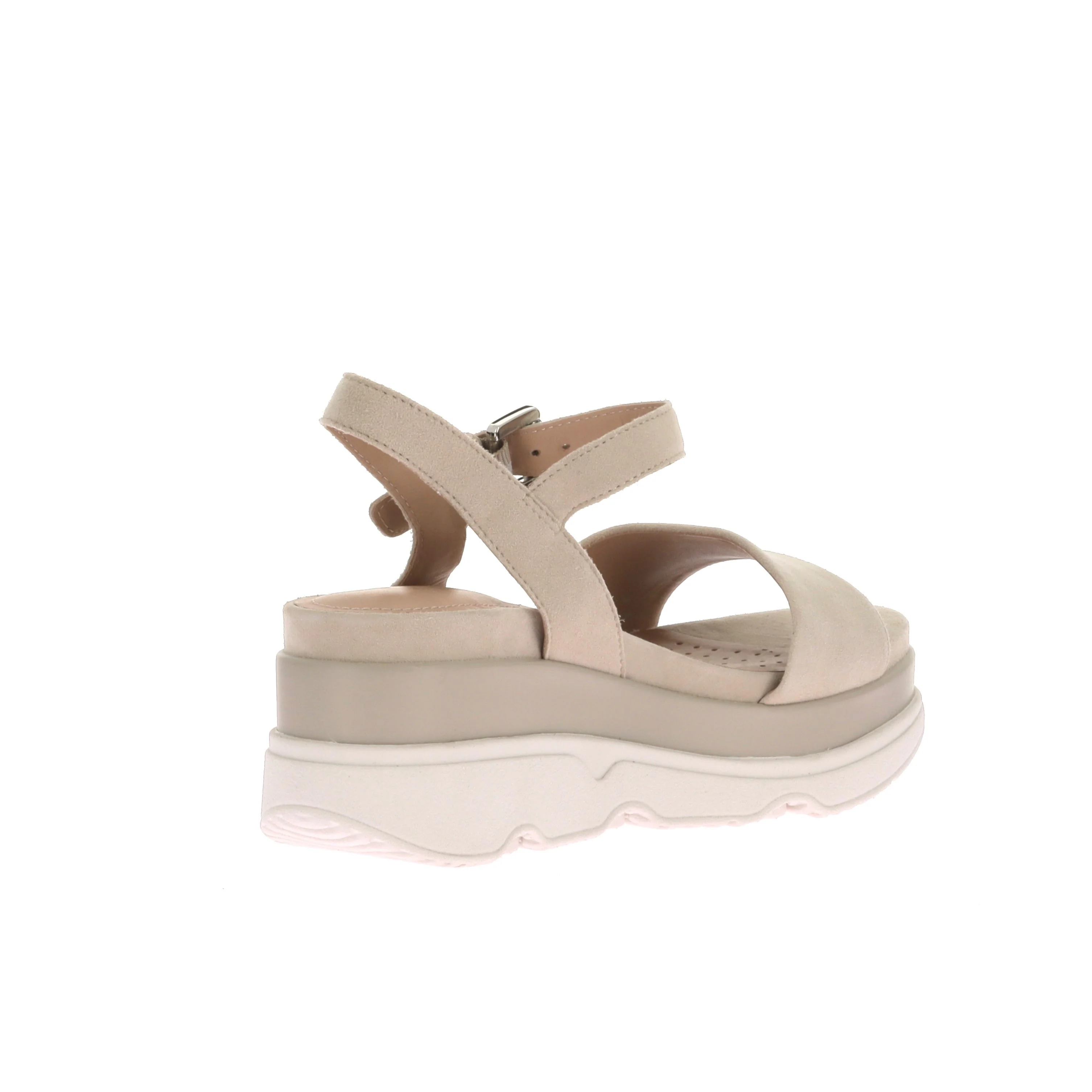 GARDENIA - Image 4