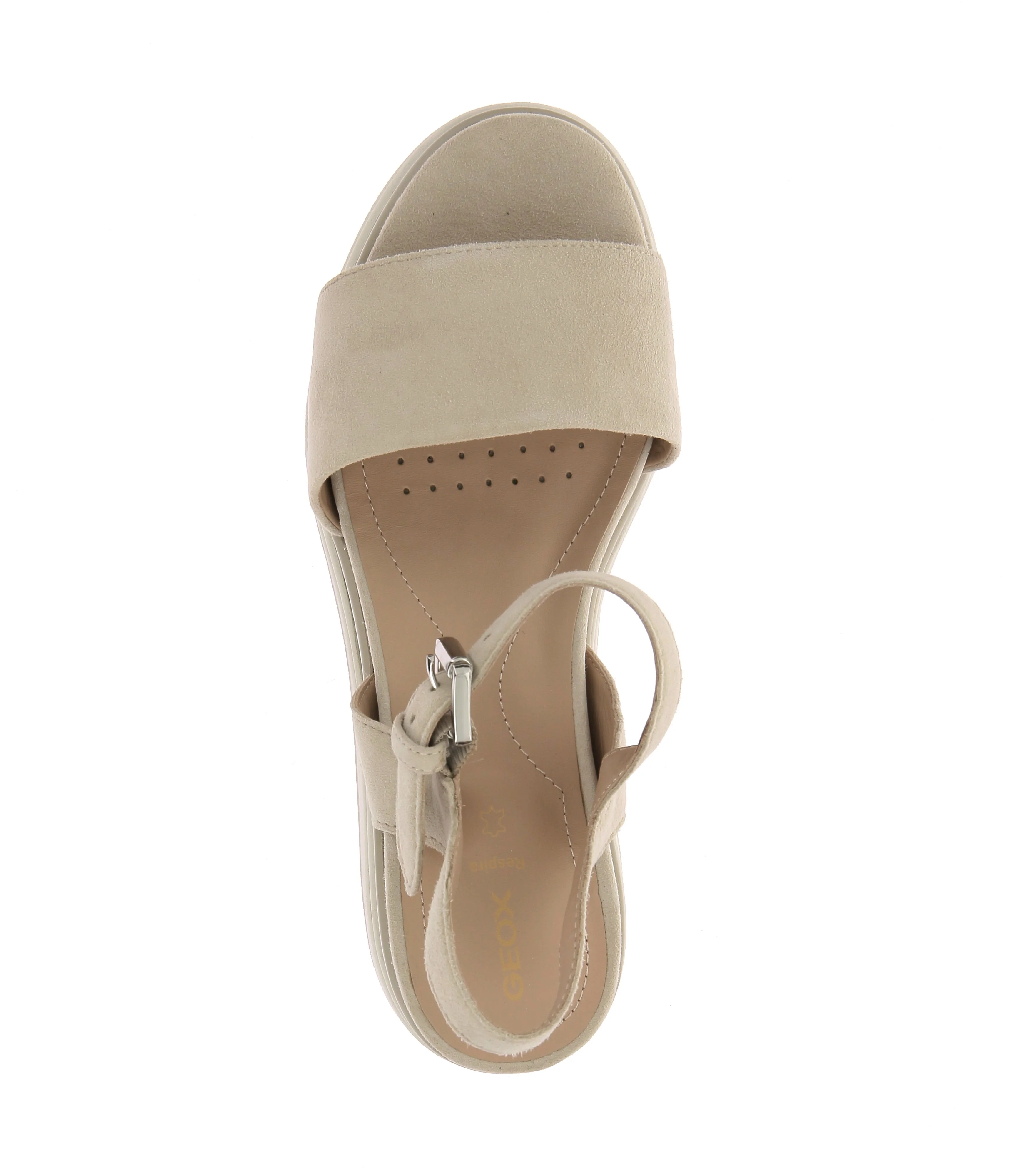GARDENIA - Image 5