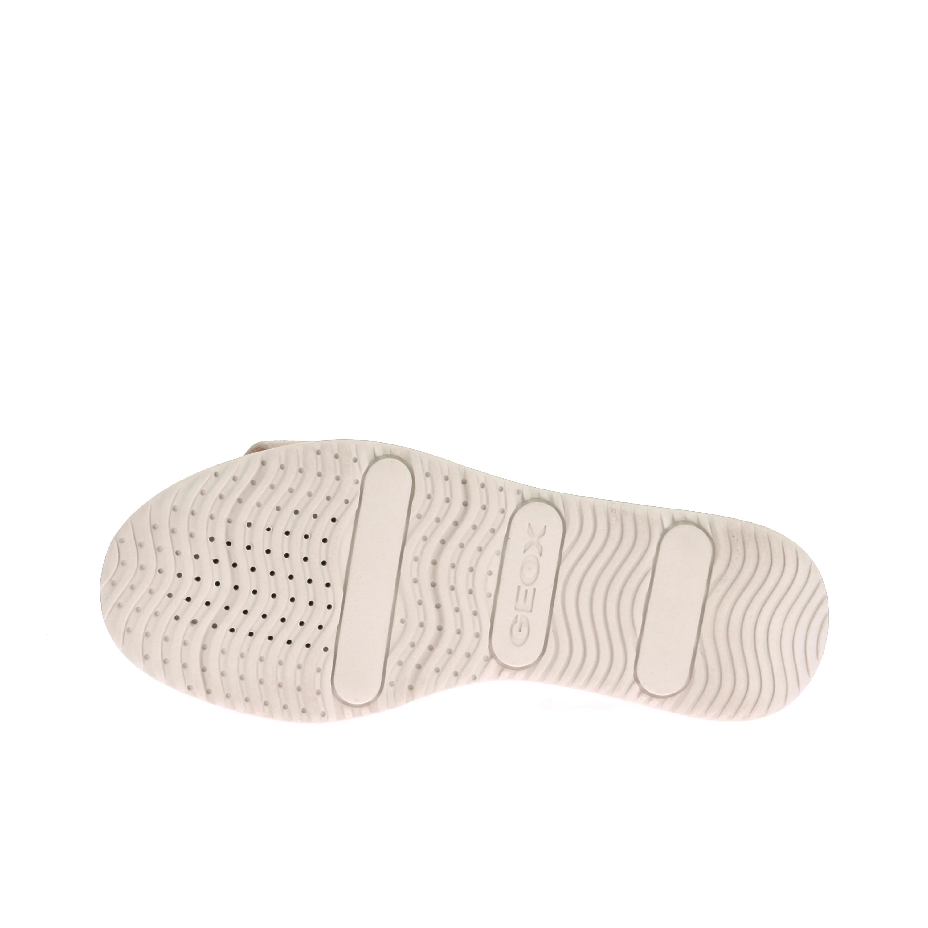 GARDENIA - Image 6