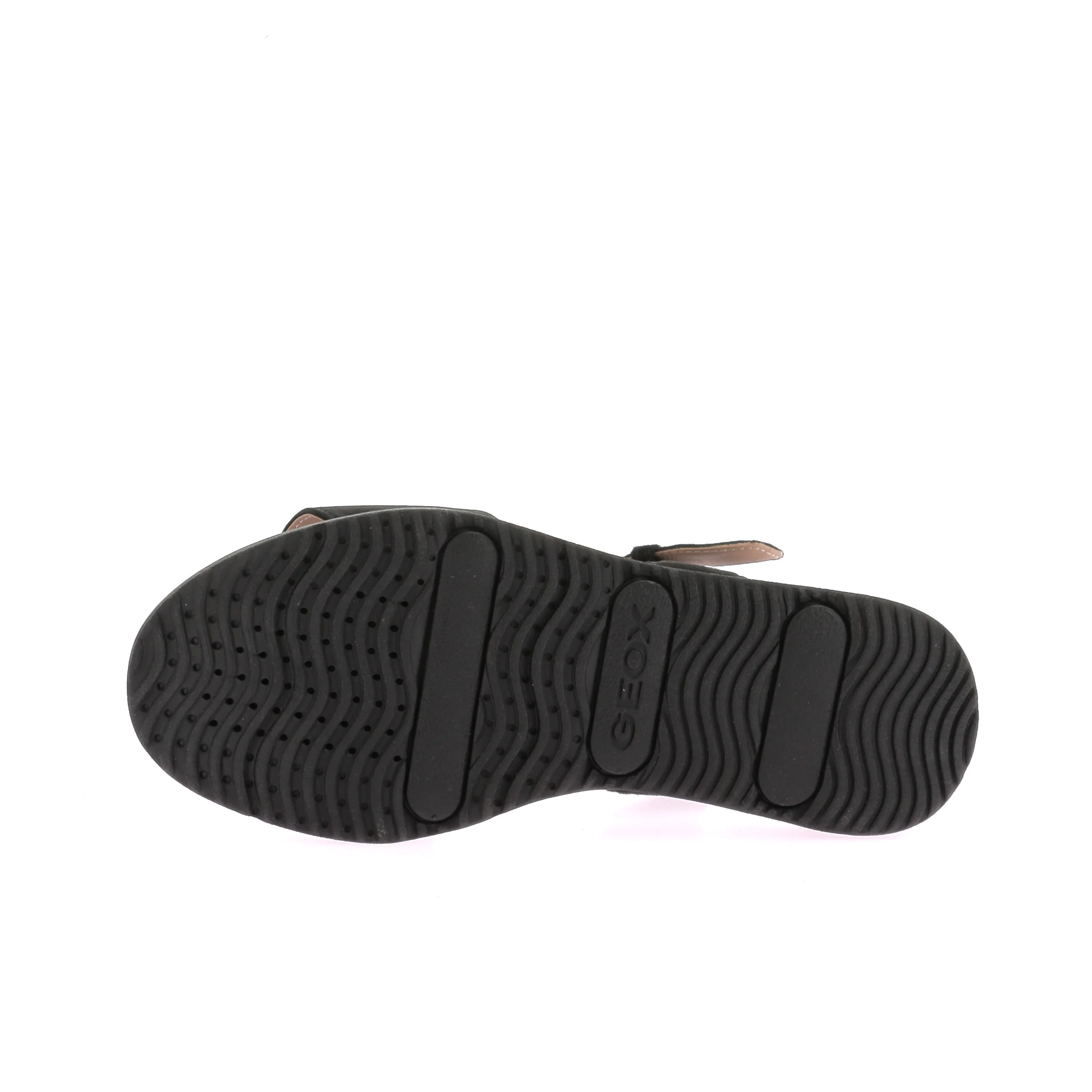 GARDENIA - Image 6