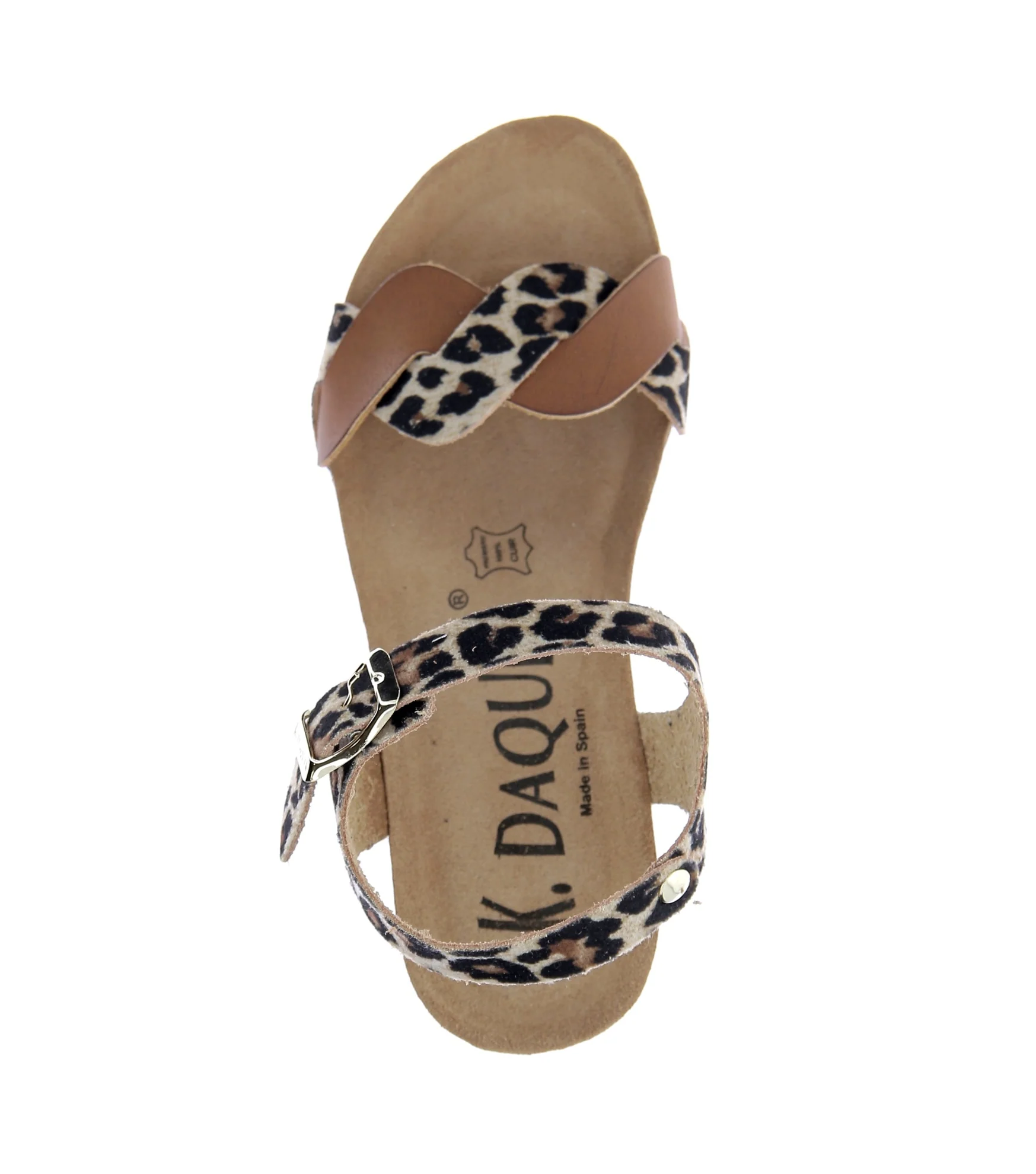 CAMOS - Image 5