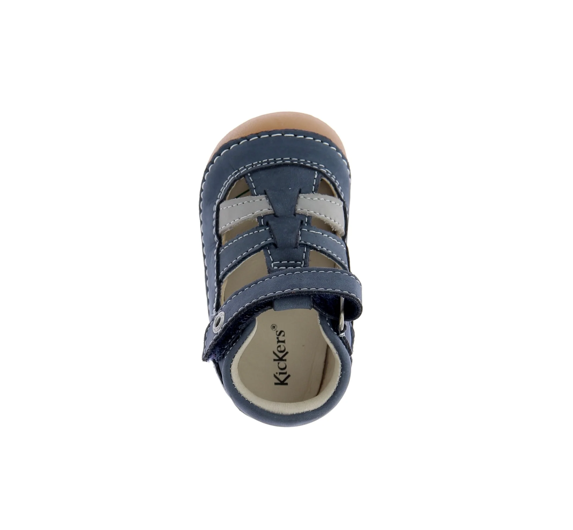 SUSHY - Image 5