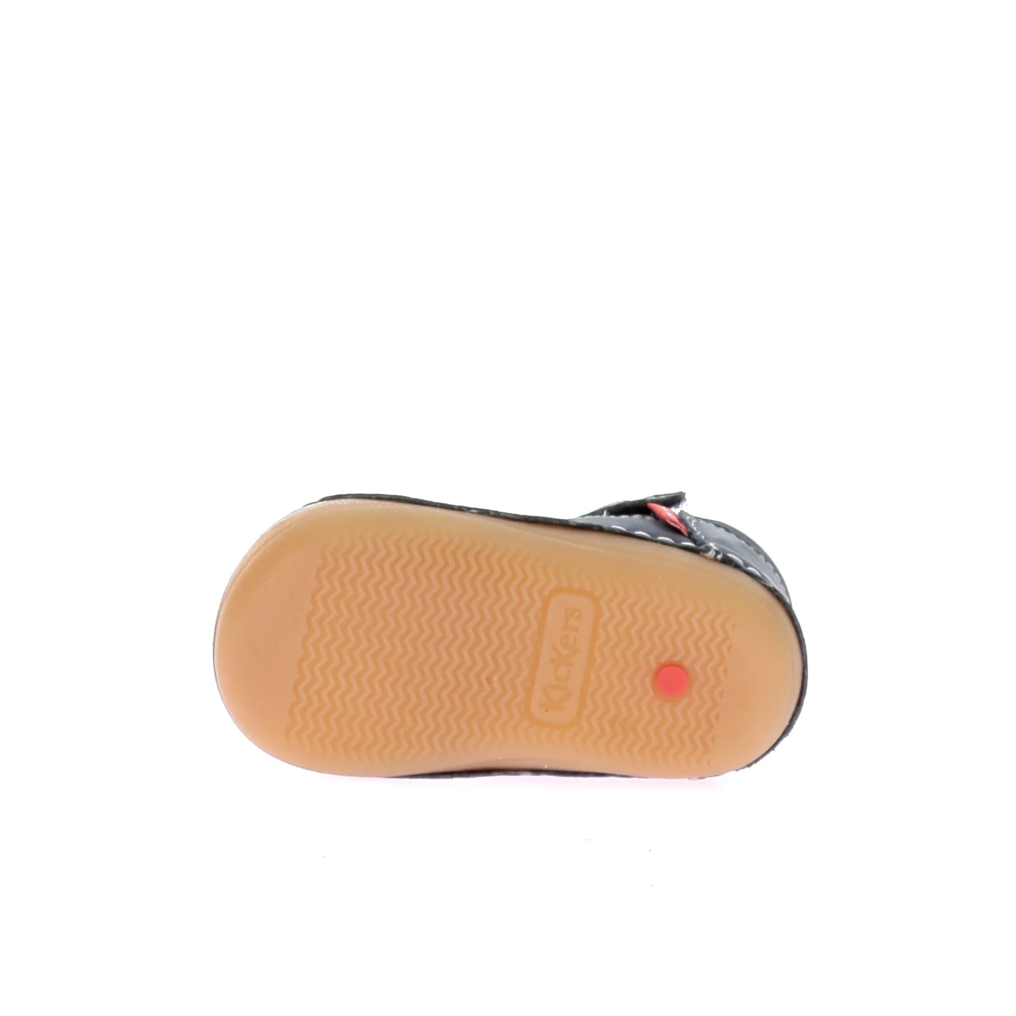 SUSHY - Image 6
