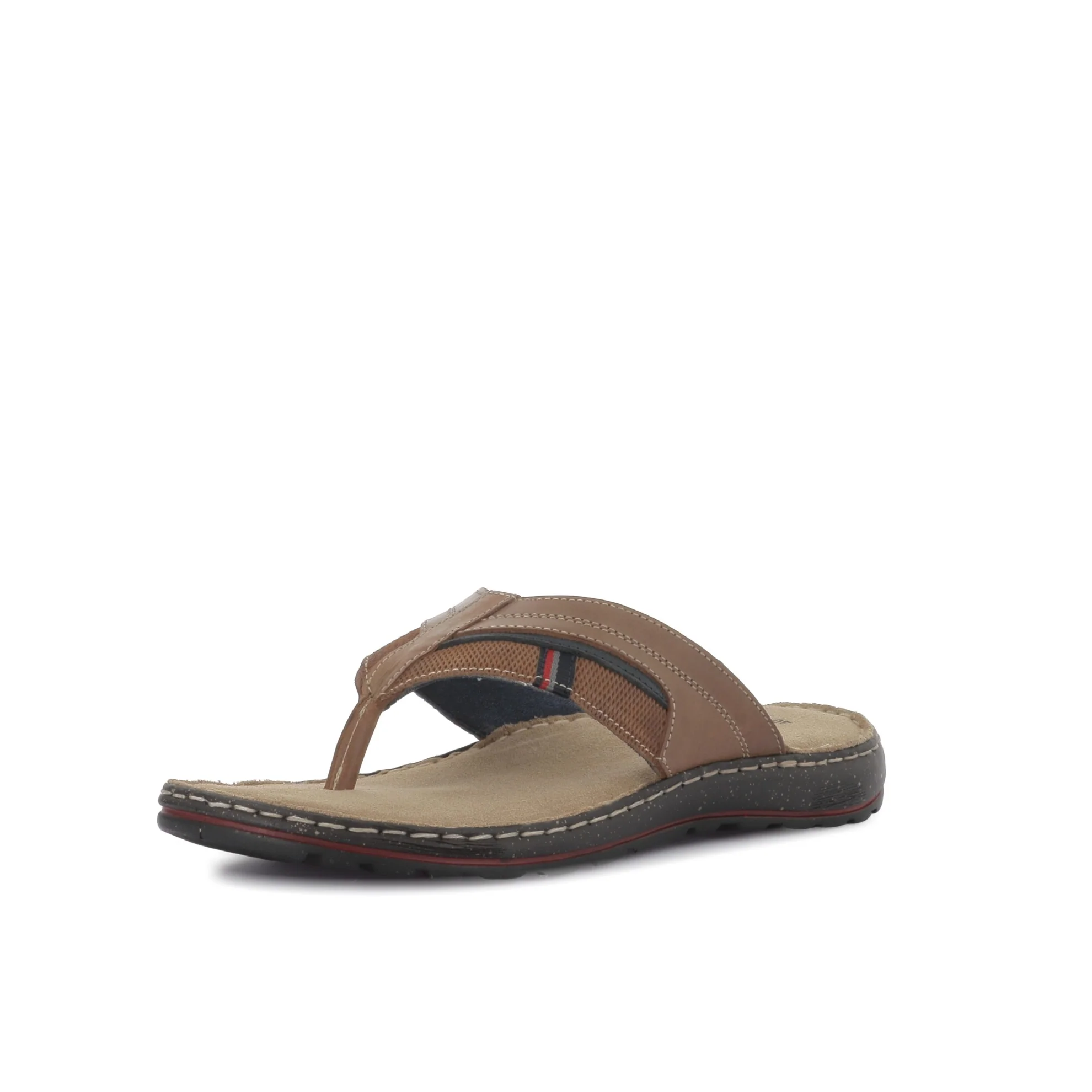 EBIZA-50223 - Image 2