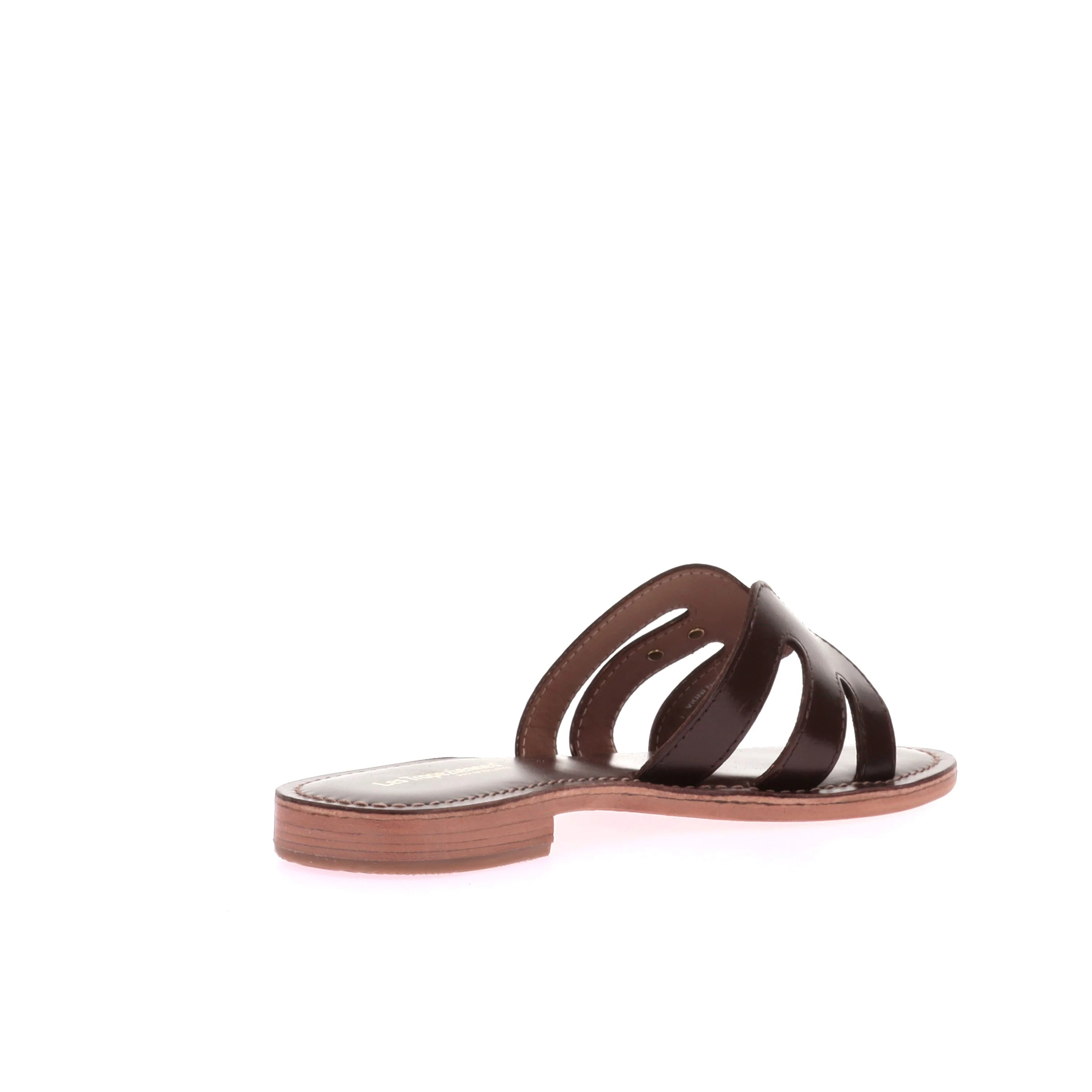 DAMIA - Image 4