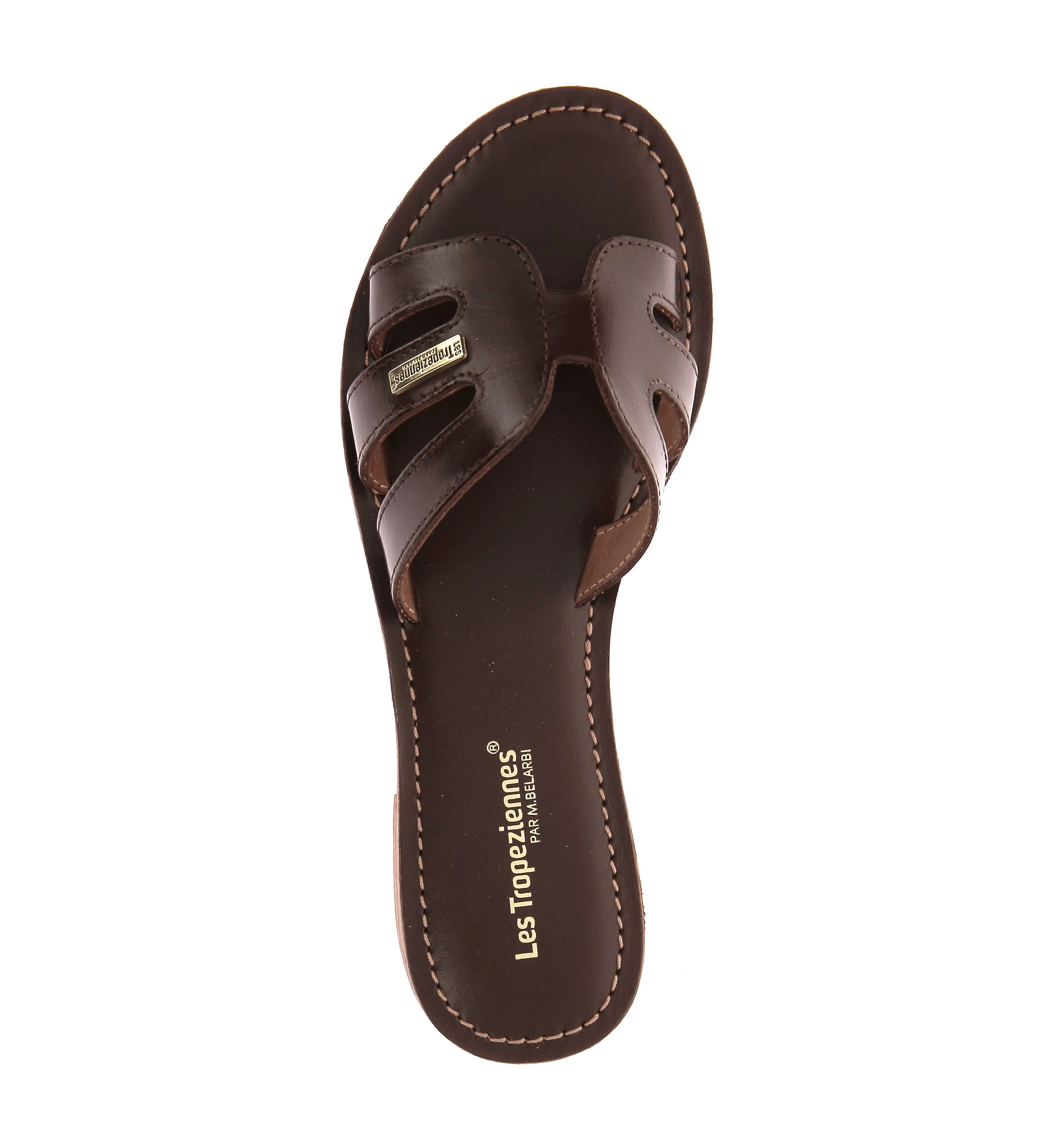 DAMIA - Image 5