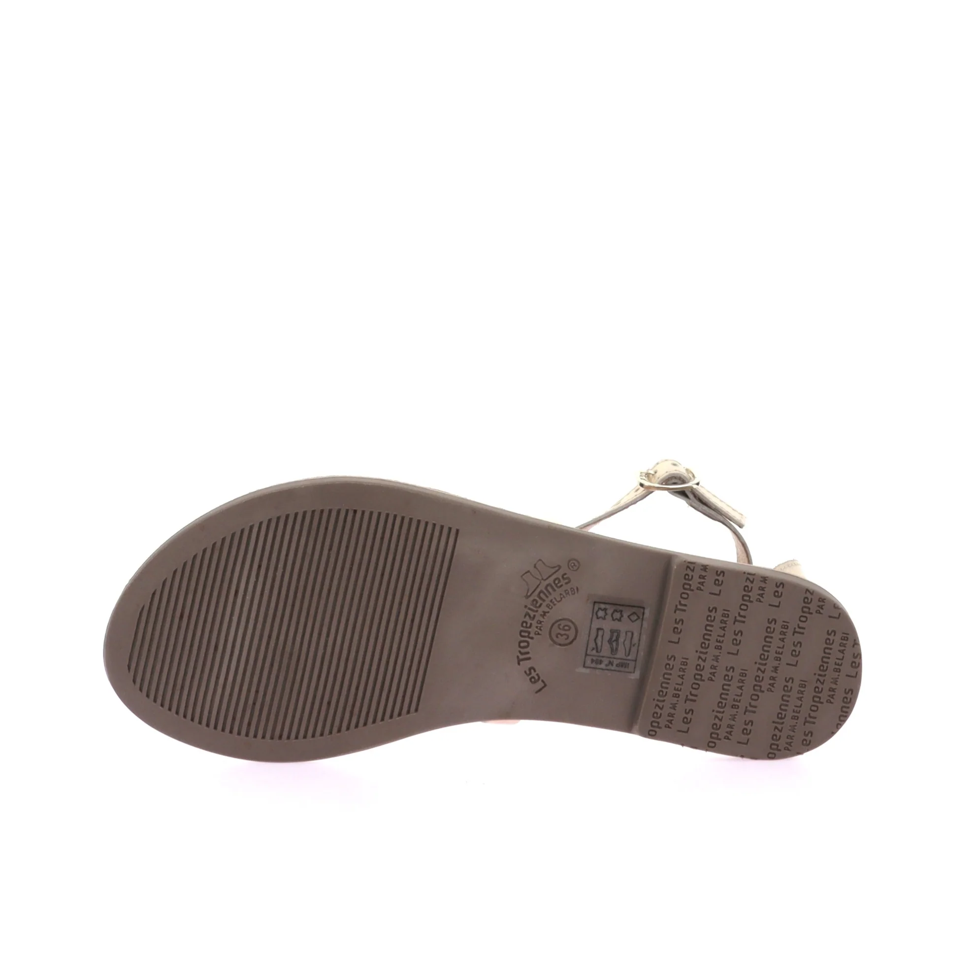 DAROZ - Image 6