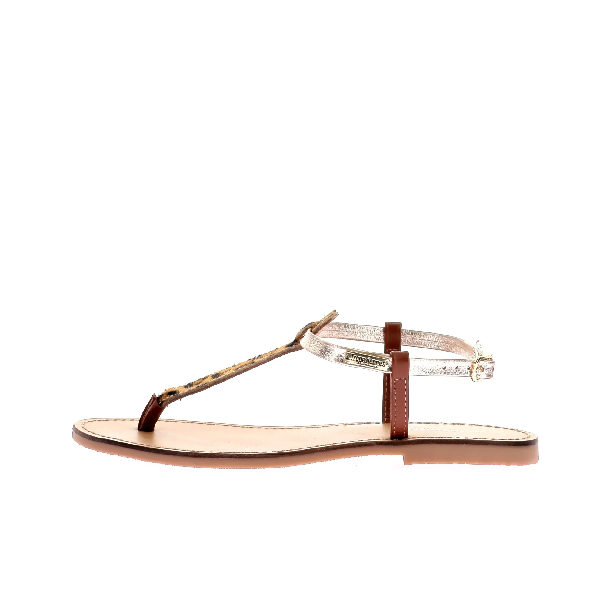 HARVIL - Image 5