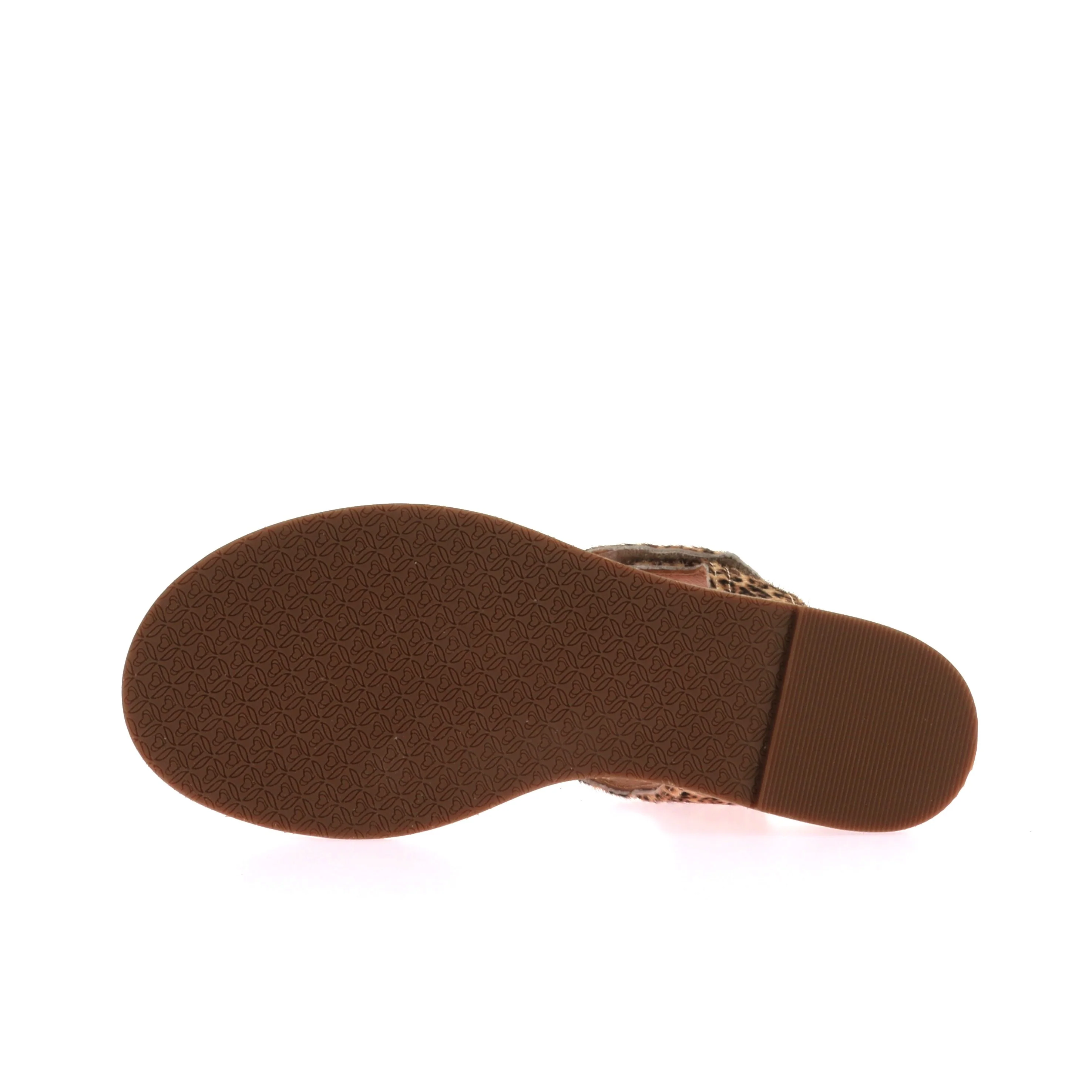 OISIN - Image 6