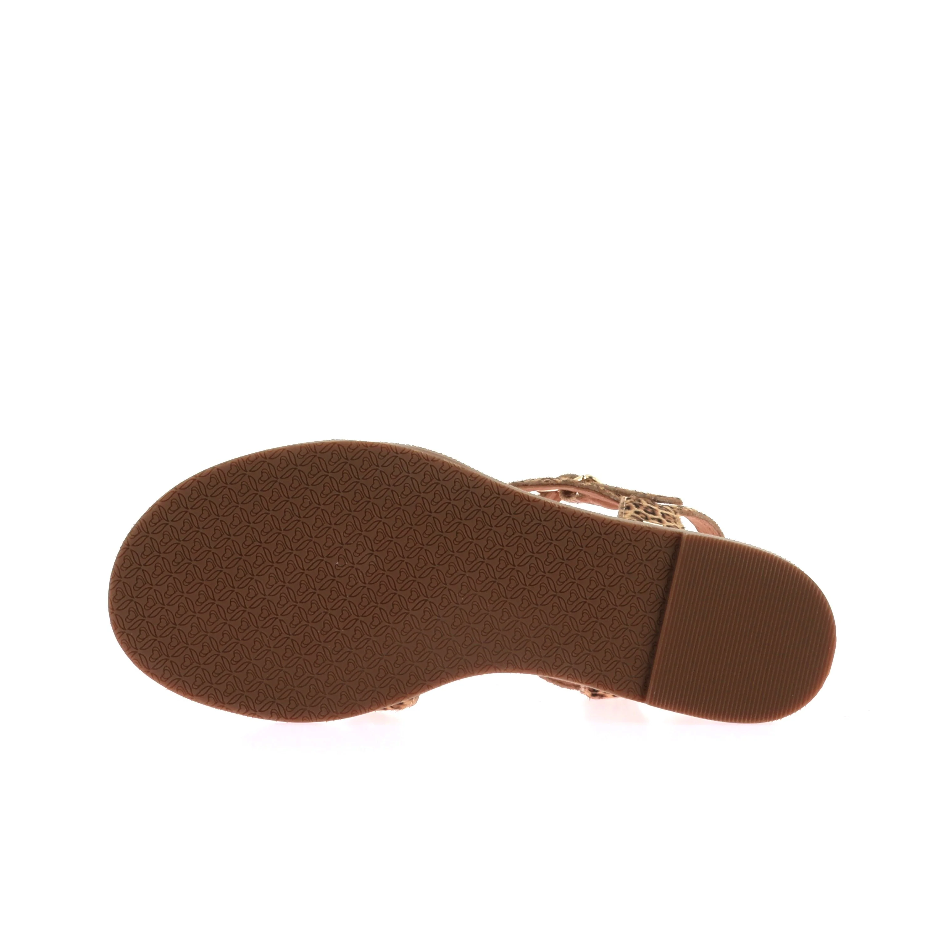 OLIM - Image 6
