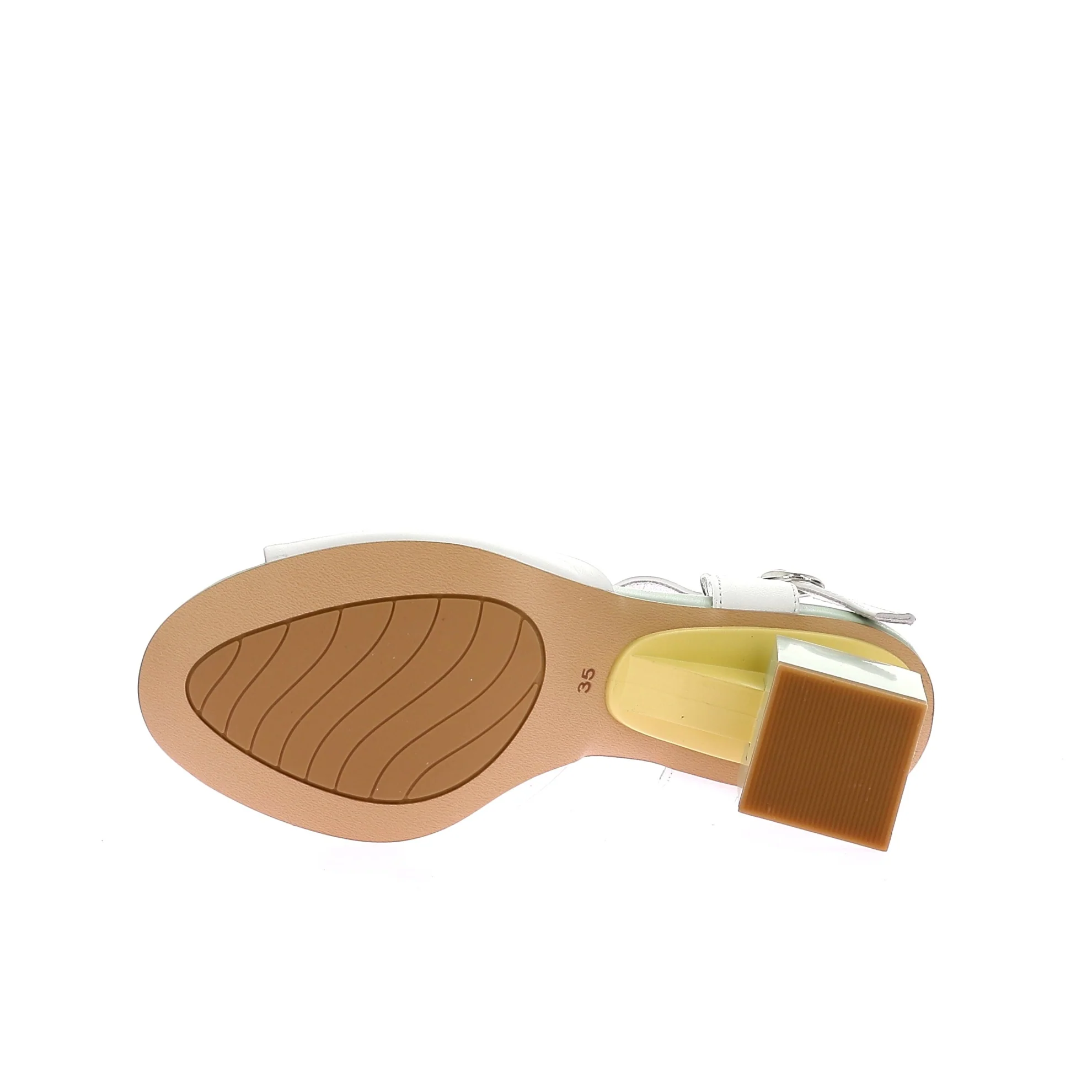 Taco - Image 6